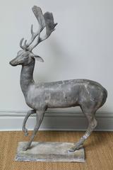 Enchanted Stag