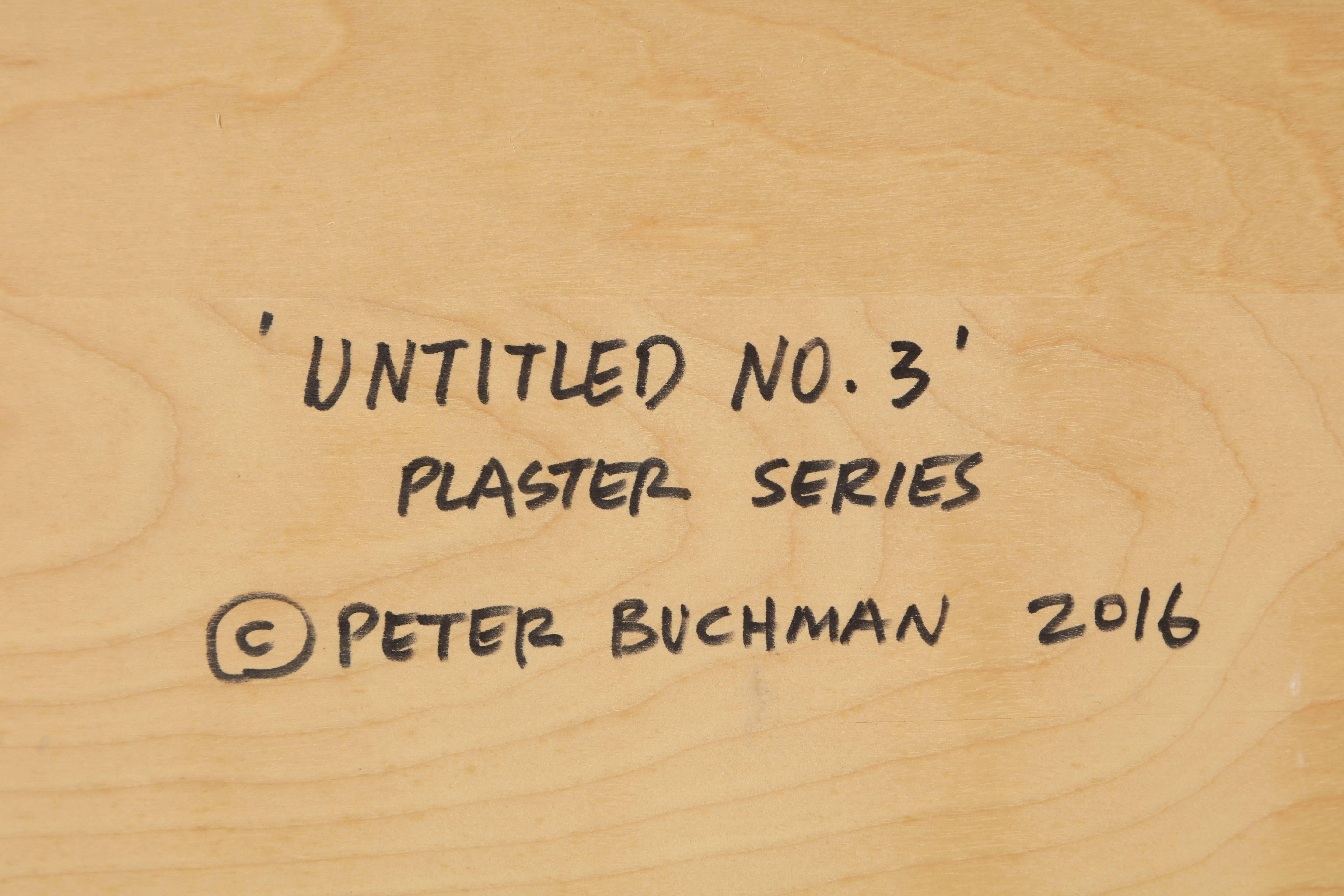 Peter Buchman Untitled No. 3, Plaster Series on Wood with Frame, 2016 2