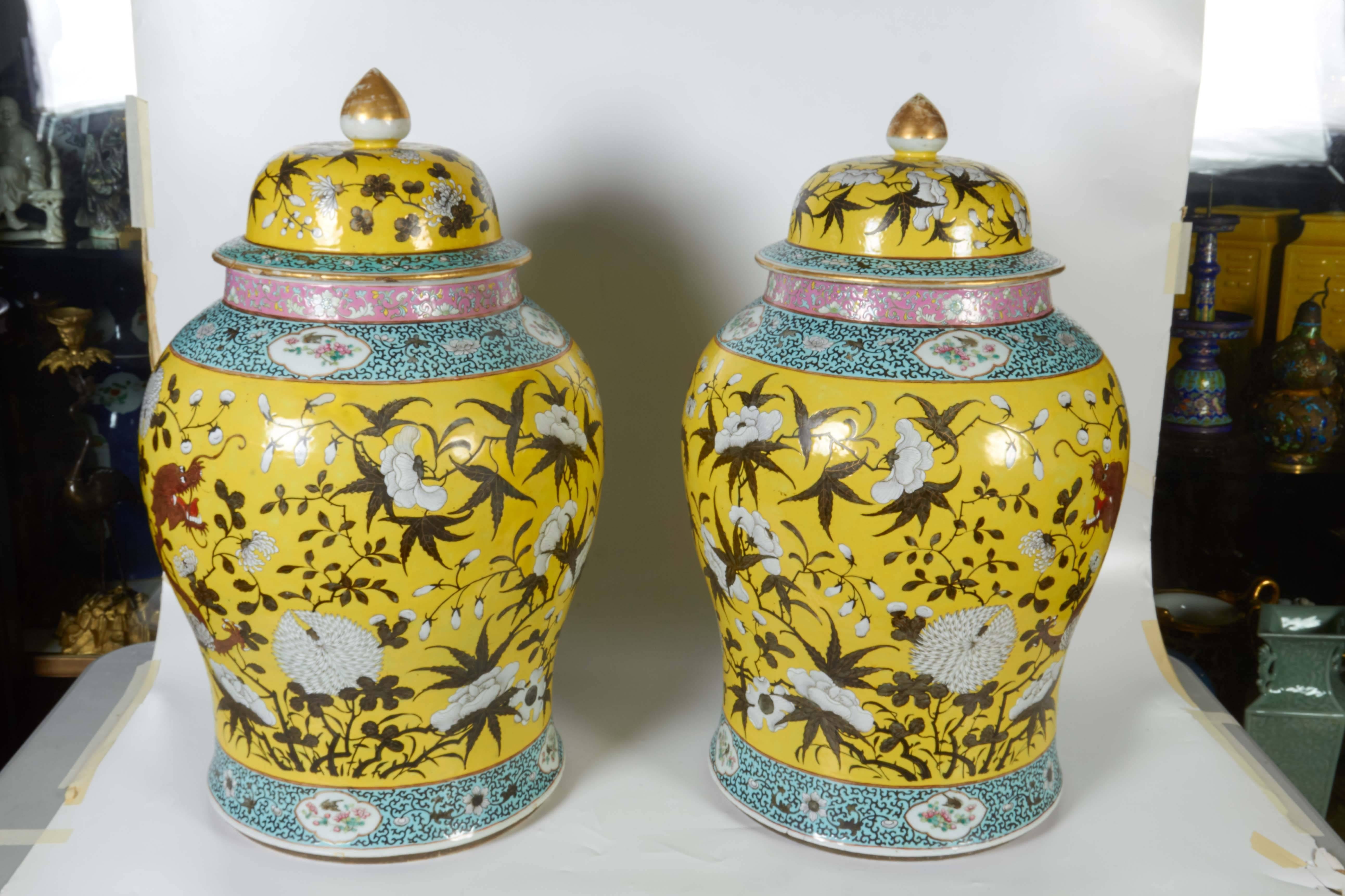 Qing Large Pair of Chinese Famille Jaune Covered Jars with Painted Dragons