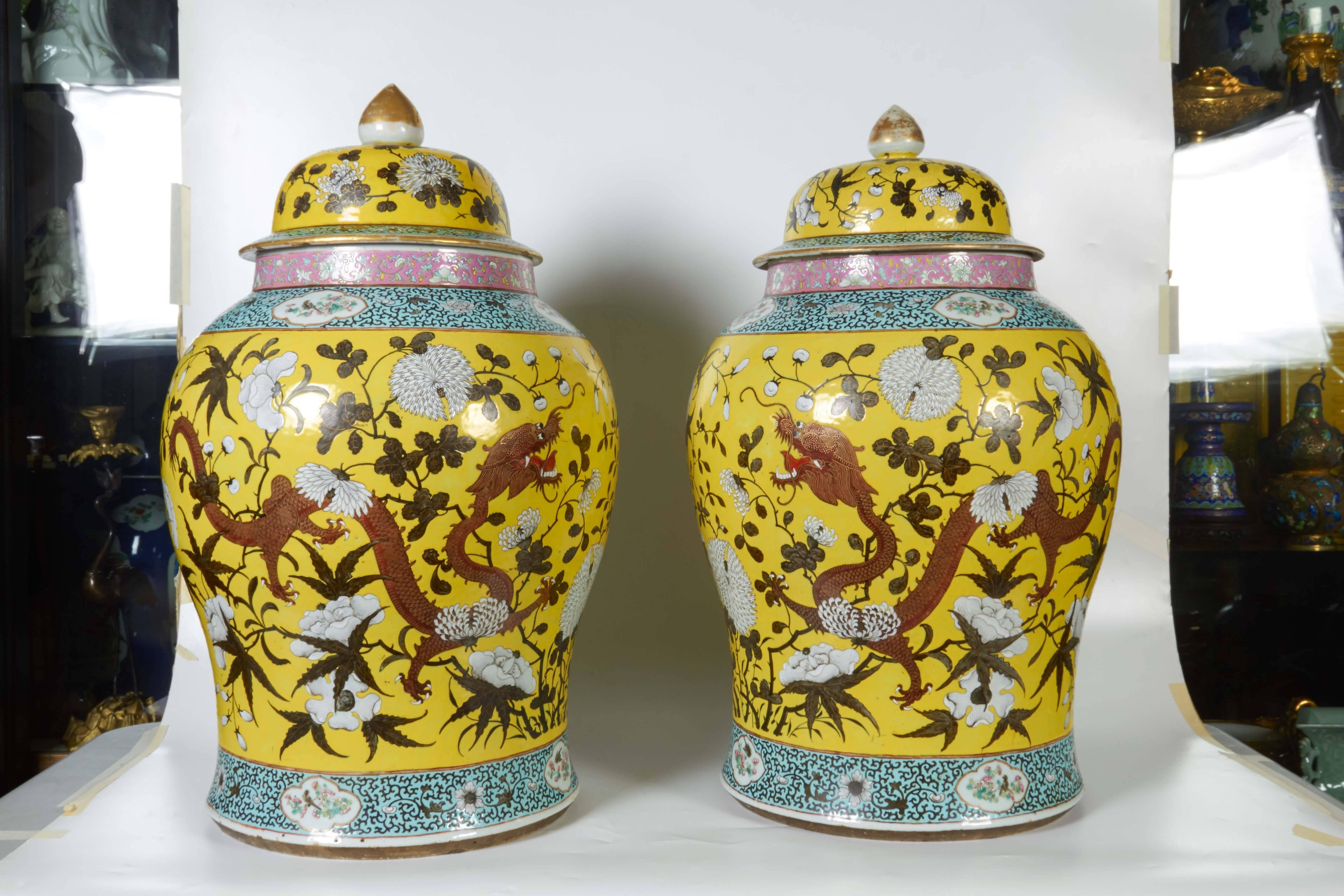 Hand-Painted Large Pair of Chinese Famille Jaune Covered Jars with Painted Dragons
