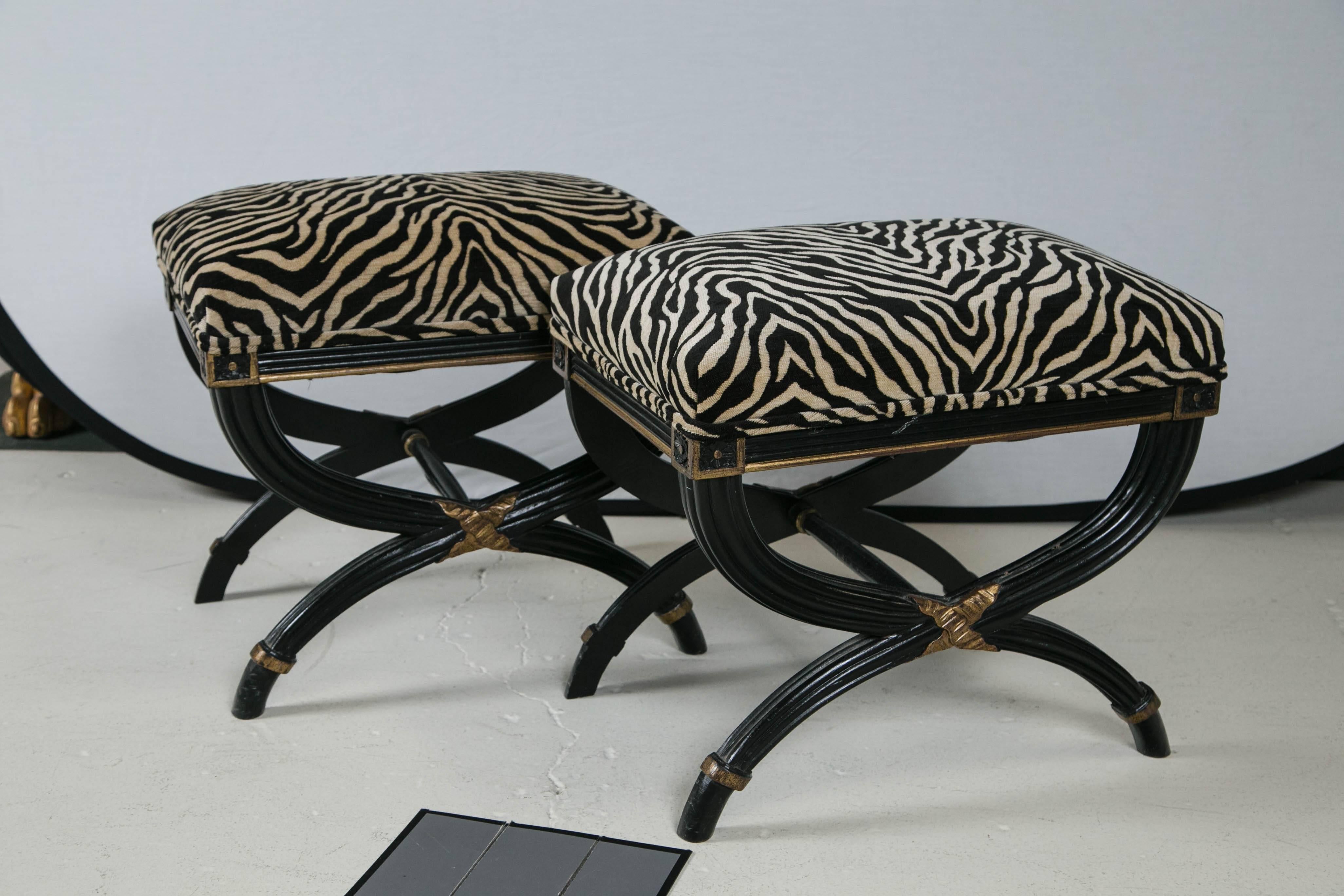 Pair of curule benches with black legs and gold leaf highlights. Newly upholstered in chenille fabric with woven zebra design.