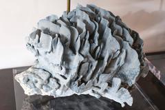 Blue Coral Lamp Mounted on Lucite