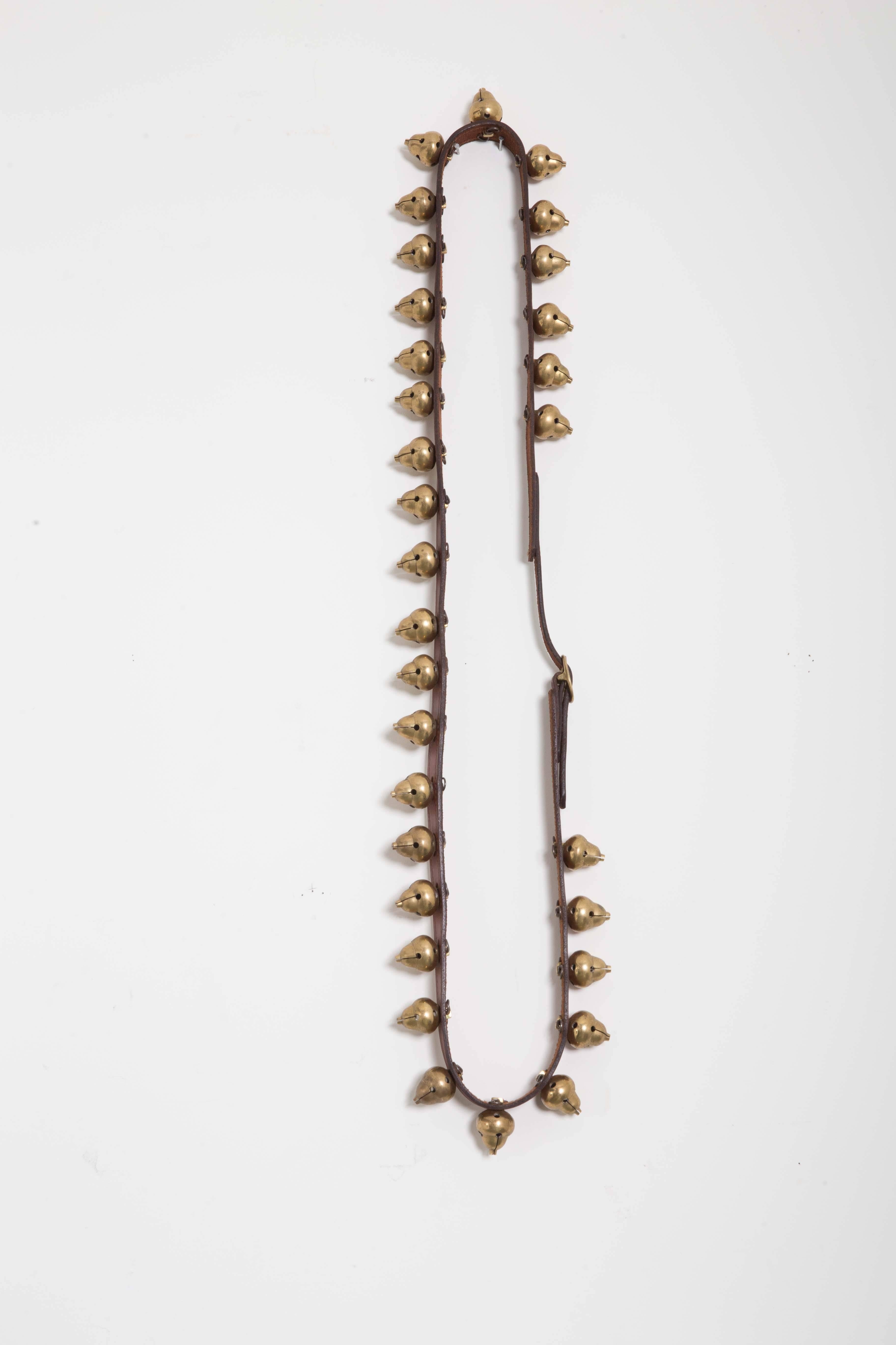 Wonderful acorn shaped brass sleigh bells. Some bells marked DL mounted on English harness leather, brass buckle. 31 bells on stitched English leather.