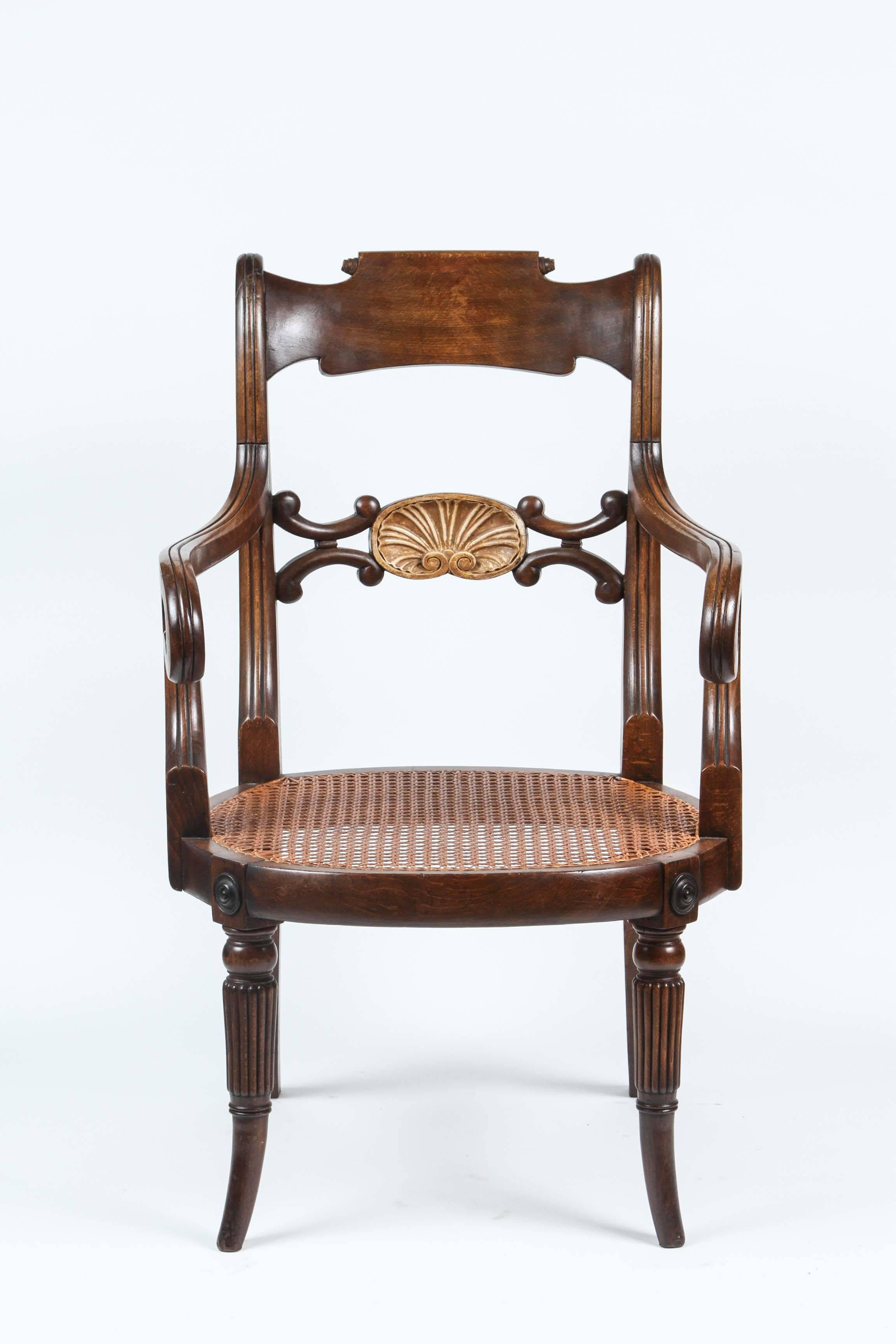 Pair of English regency over-scaled mahogany armchairs featuring a gilded shell carved back saber legs and scrolled arms, circa 1820. Seats are newly caned.