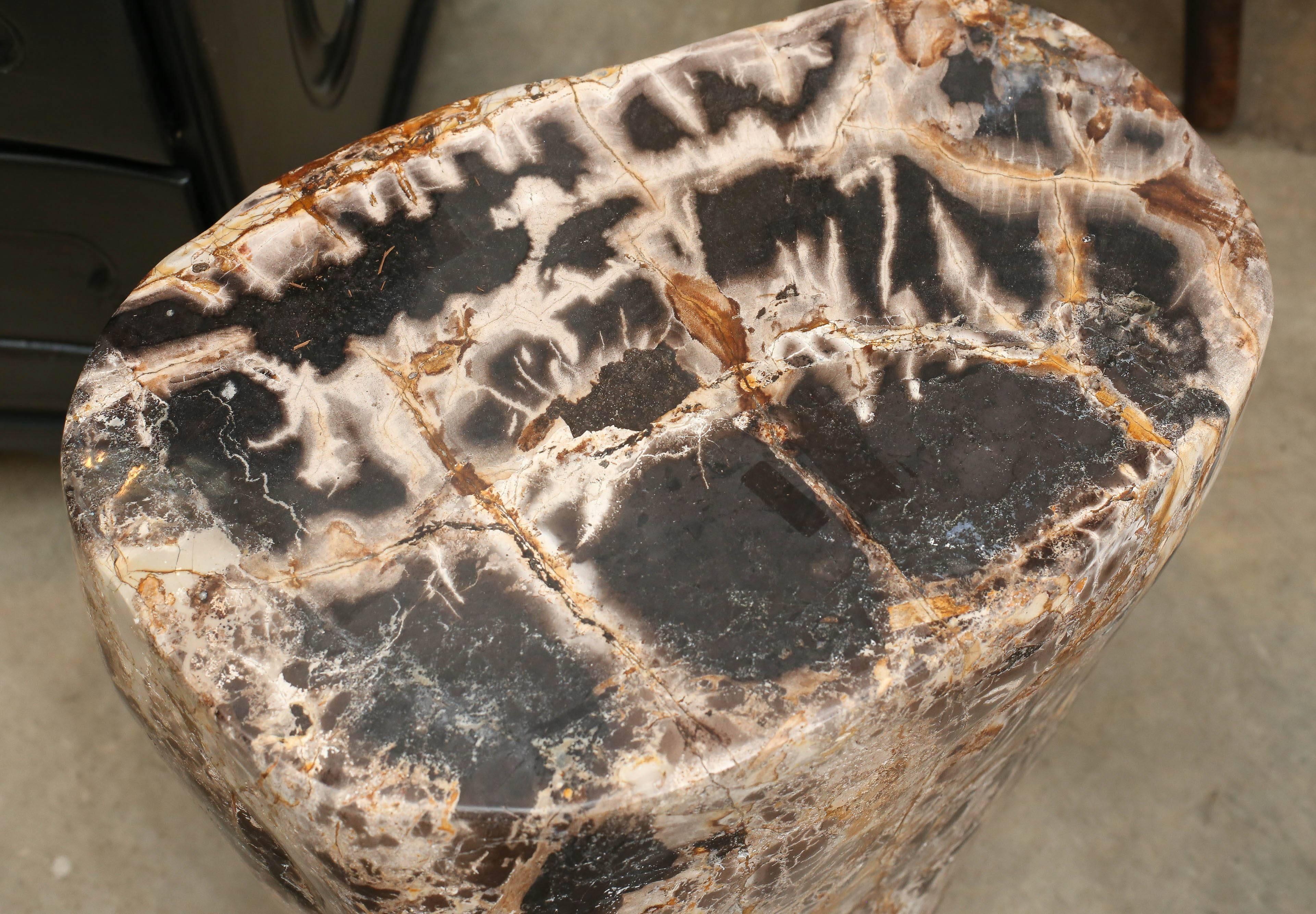 Petrified Wood Side Table In Excellent Condition In Houston, TX