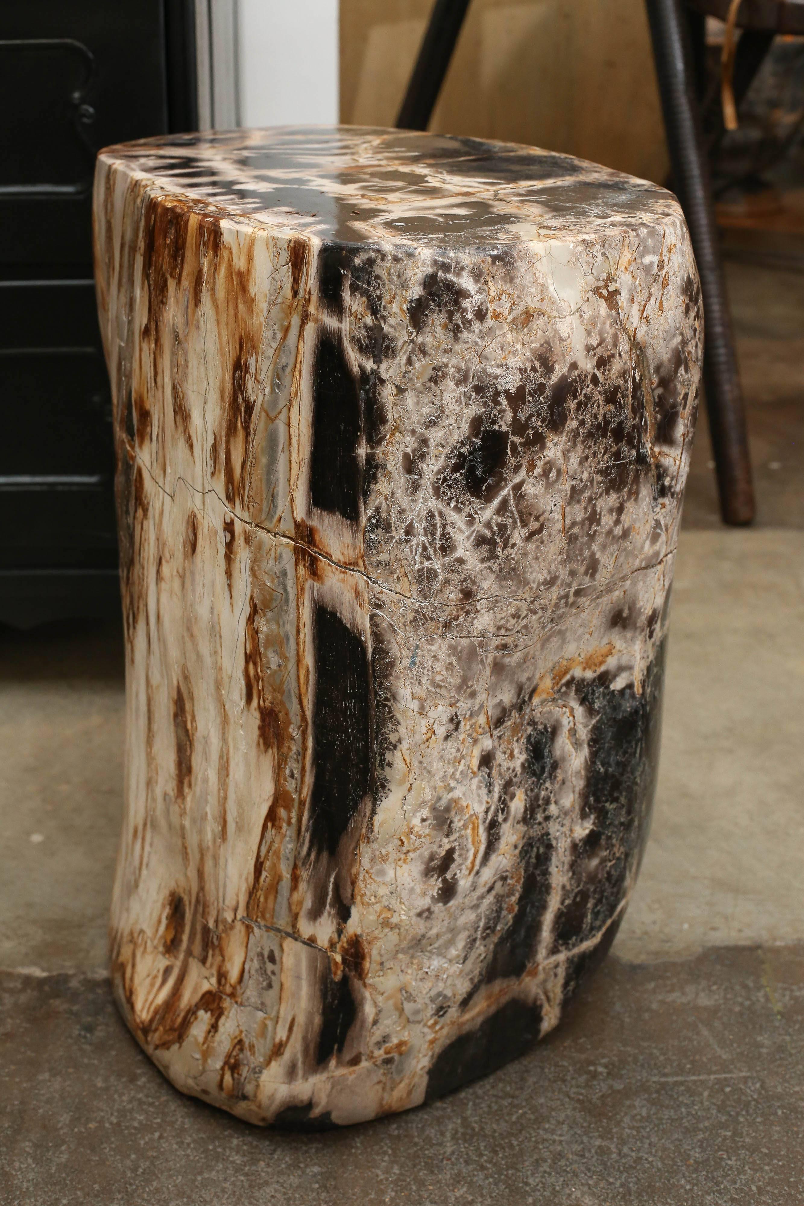 Petrified Wood Side Table 2