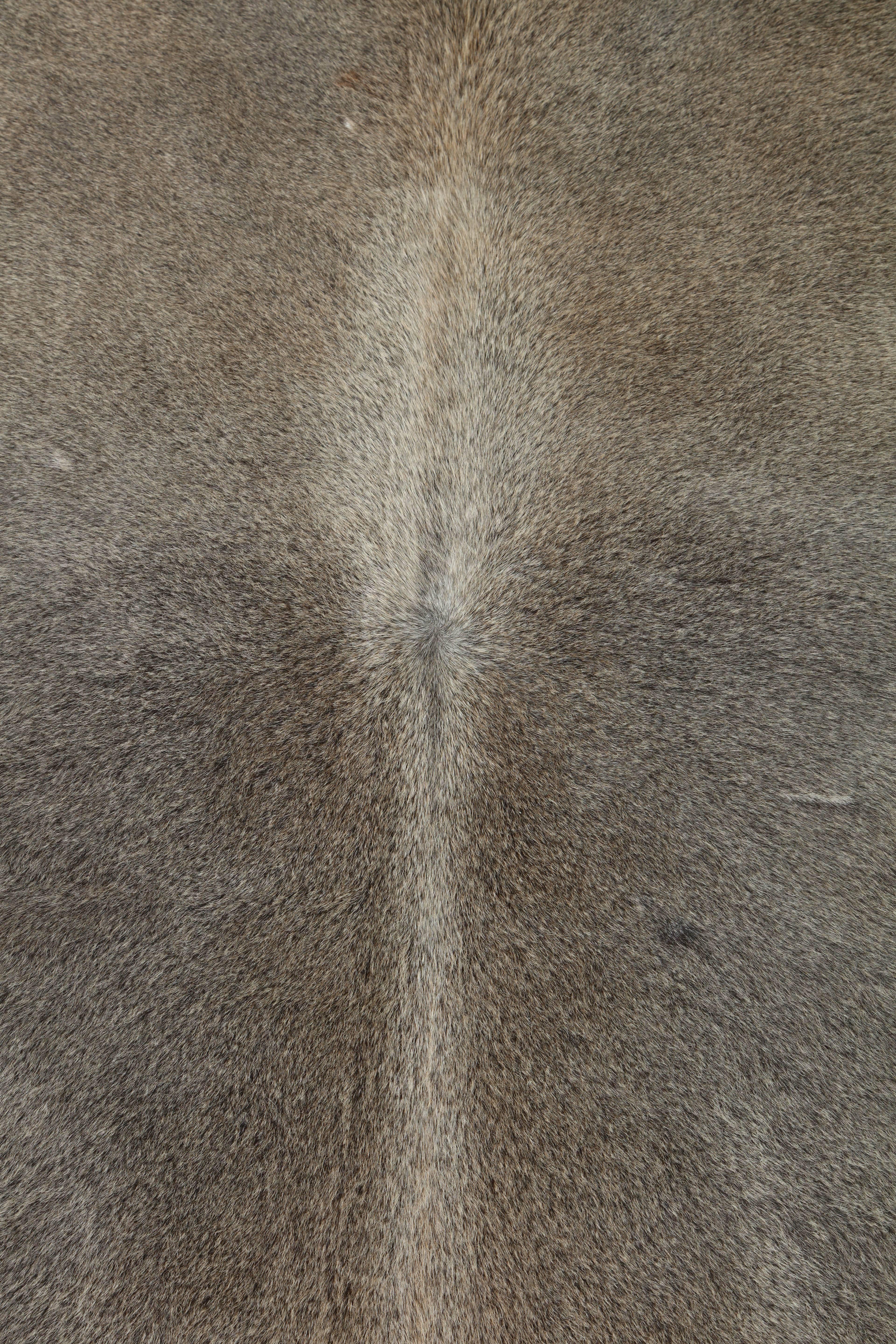 This contemporary gray Brazilian cowhide rug is made of 100% natural materials. Their tanneries are ISO-9001 certified for quality and ISO 14001 certified for low environmental impact which is what gives them their gold star rating from Leather