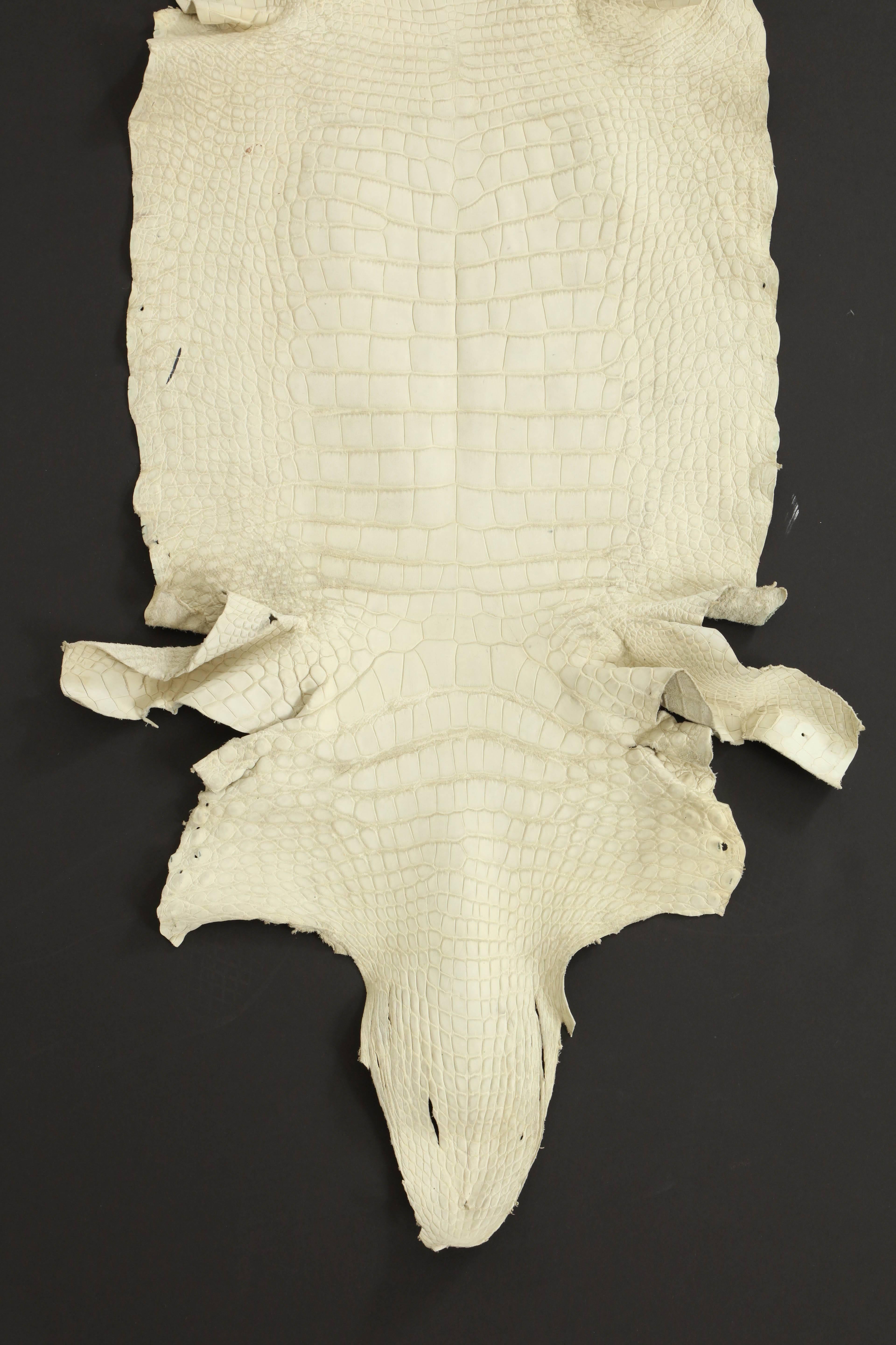 Decorative white crocodile skin for a rug or to drape over your chair.
The skin is between 18 inches-25 inches wide and 80 inches long.