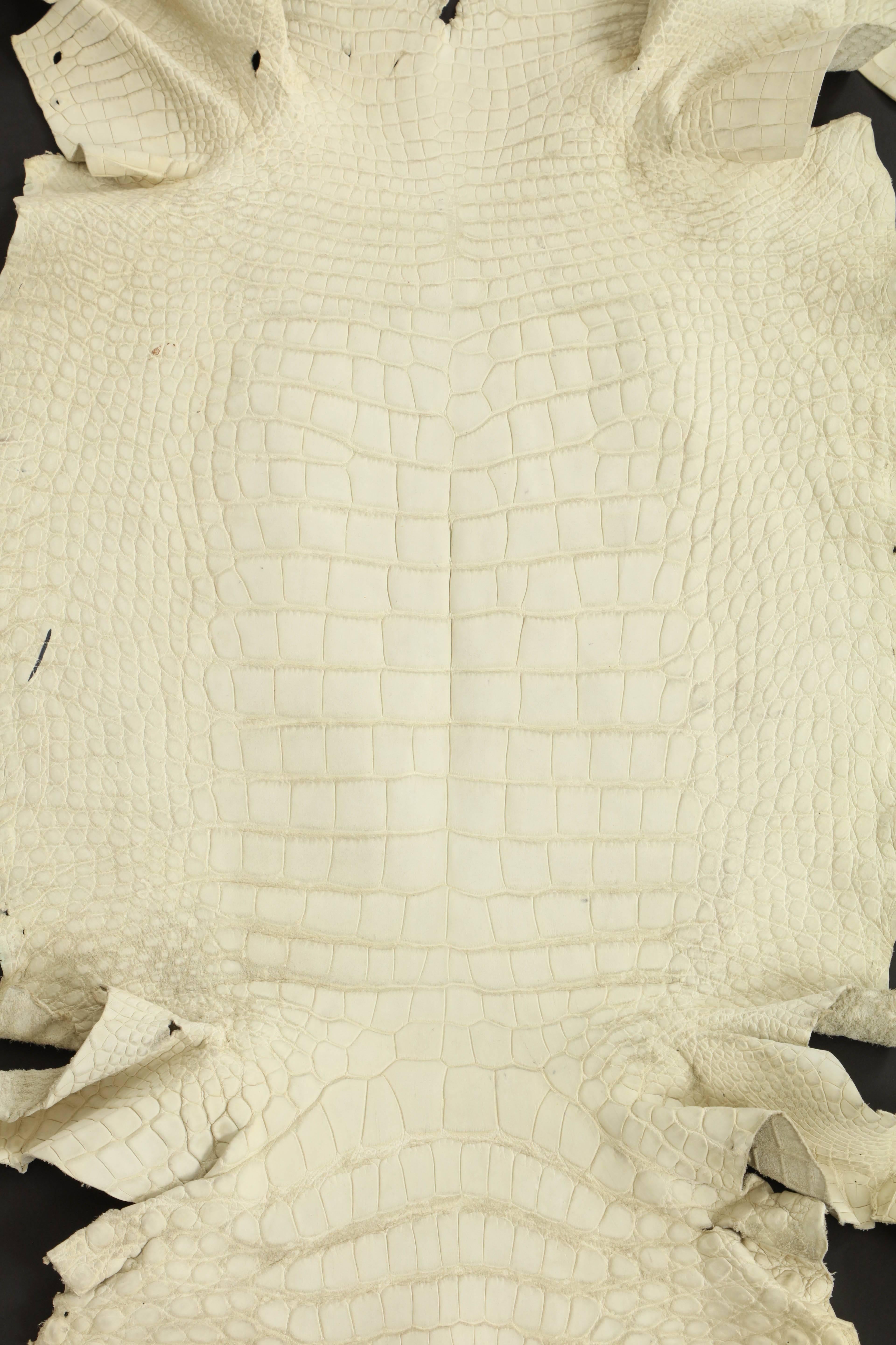 Modern Crocodile Skin