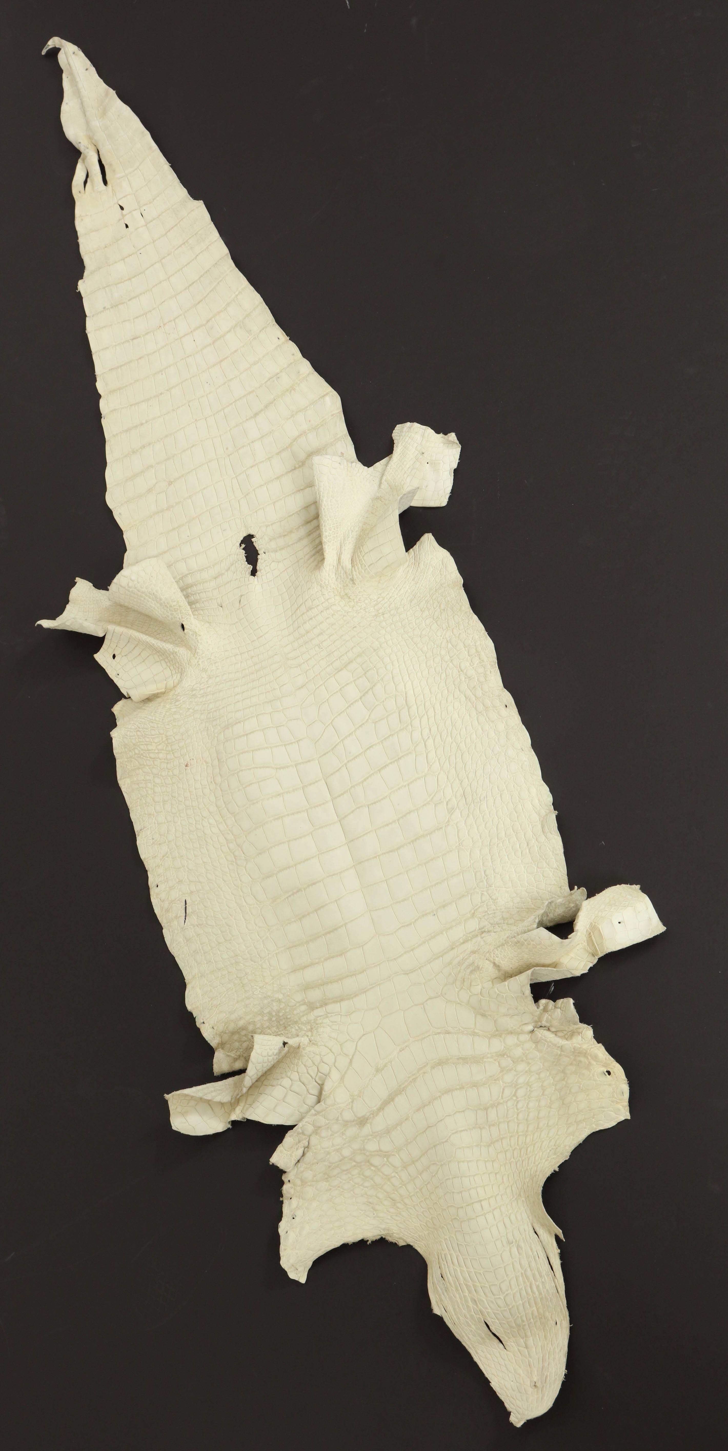 Hand-Crafted Crocodile Skin