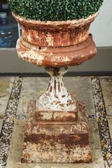 Large Late 19th Century Cast Iron Garden Urn