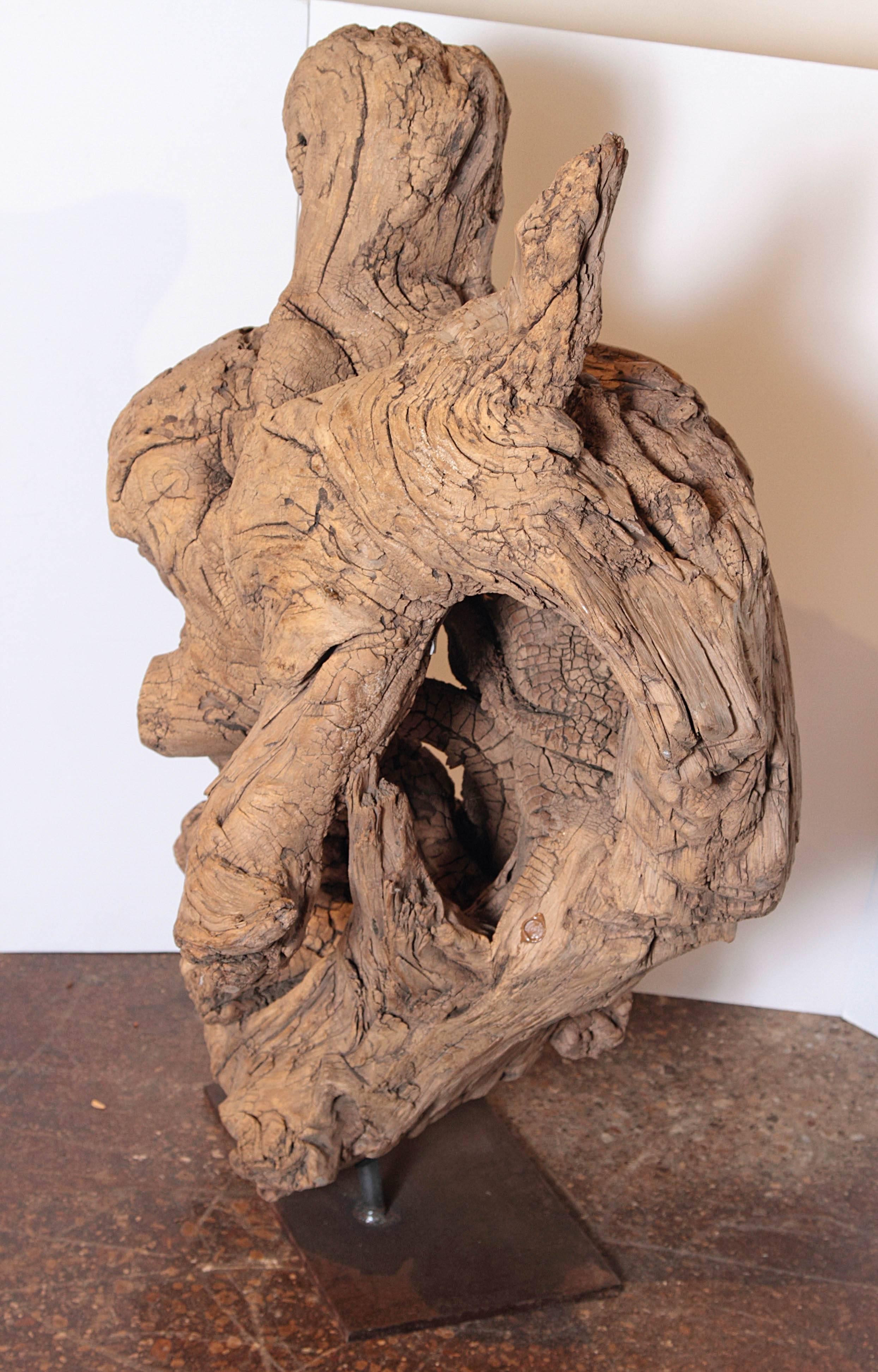 Organic Natural Driftwood Sculpture In Excellent Condition In Dallas, TX