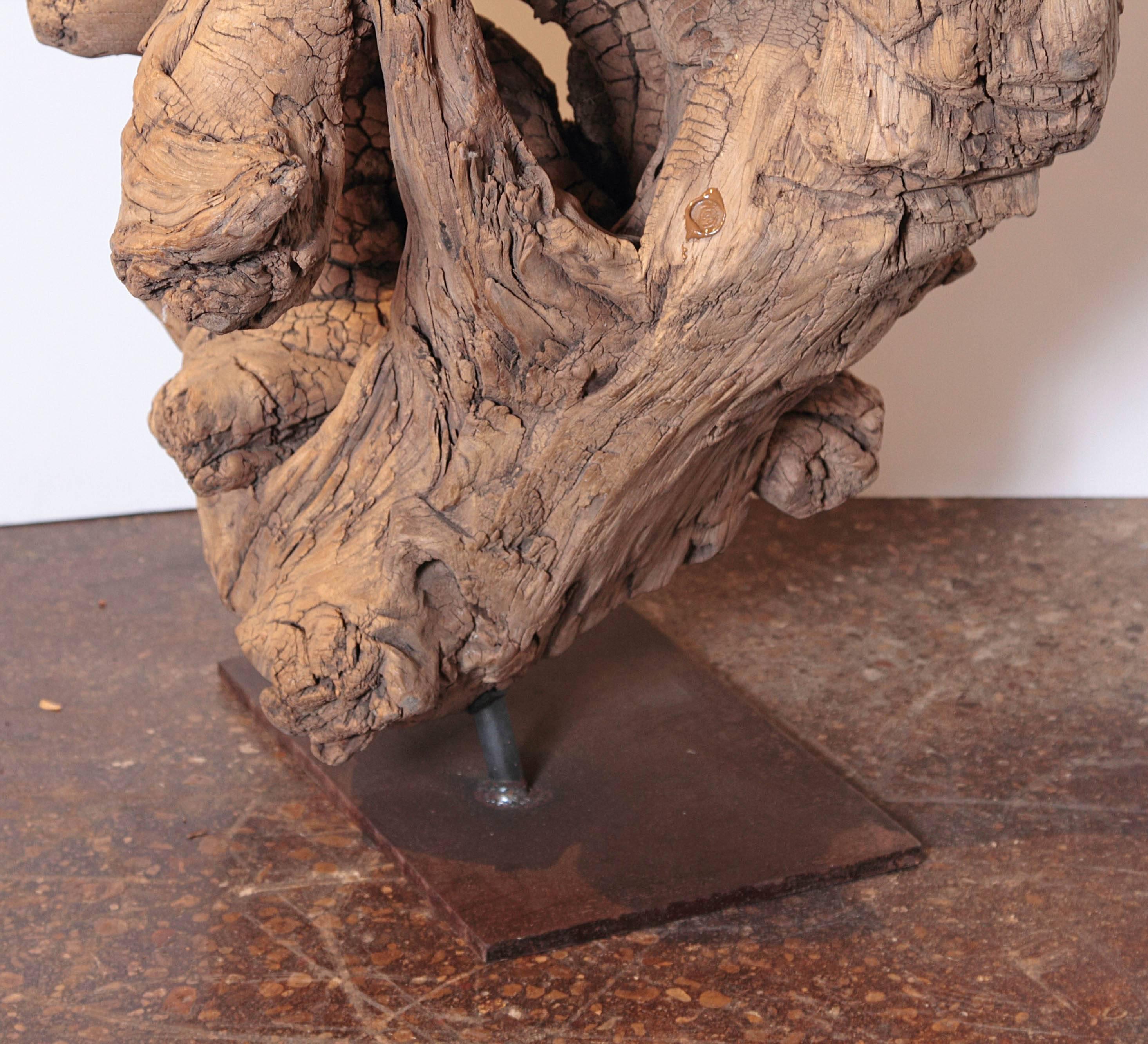 Organic Natural Driftwood Sculpture 1