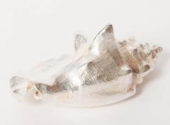Silver Plated Miniature Conch Shell