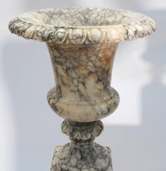Pair of Carved Alabaster Urns