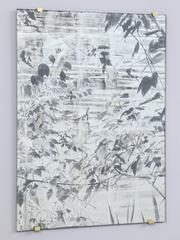 "Frog, " a Glass Drawing by Anne Peabody