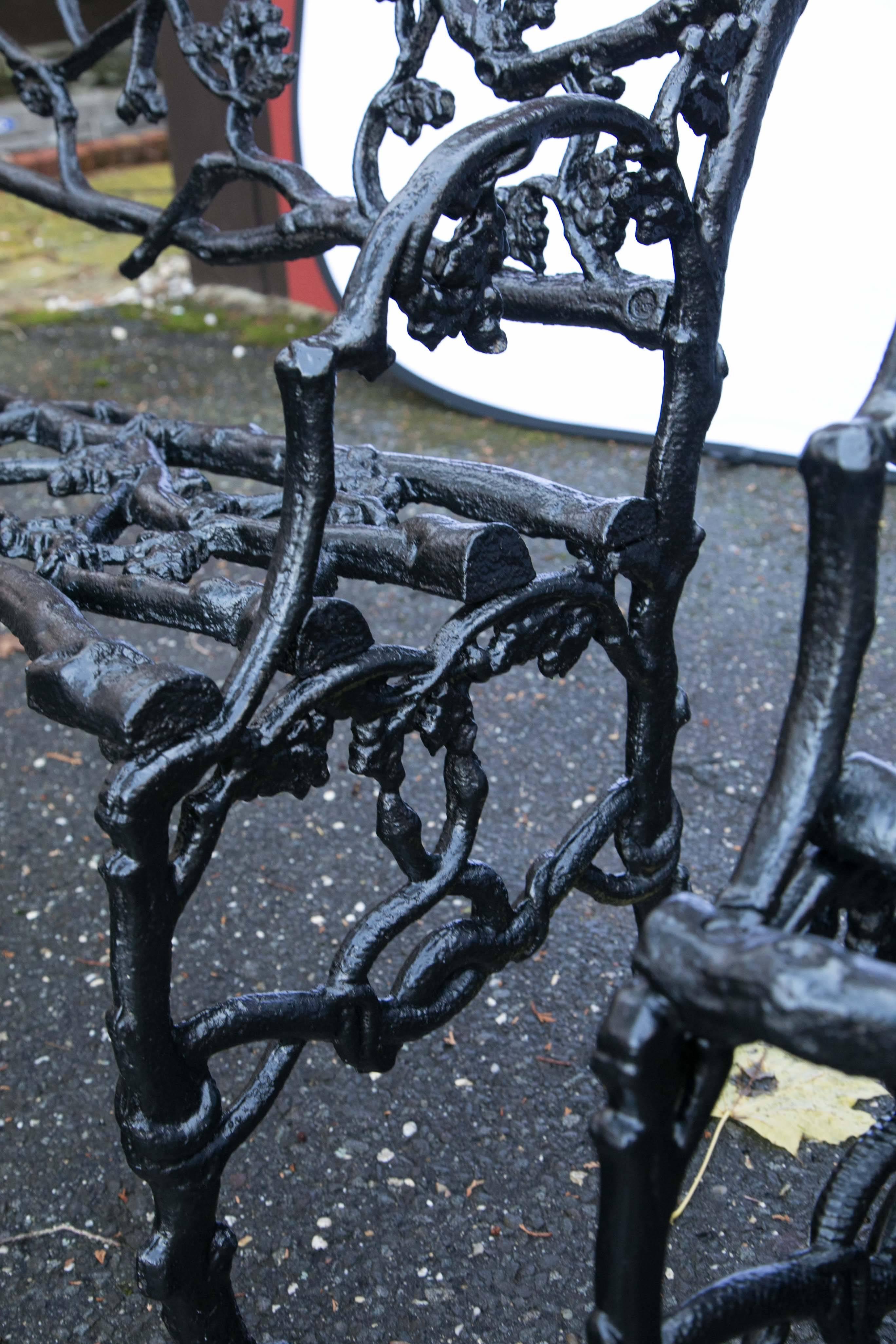 Pair of Cast Iron Twig Form Benches 1