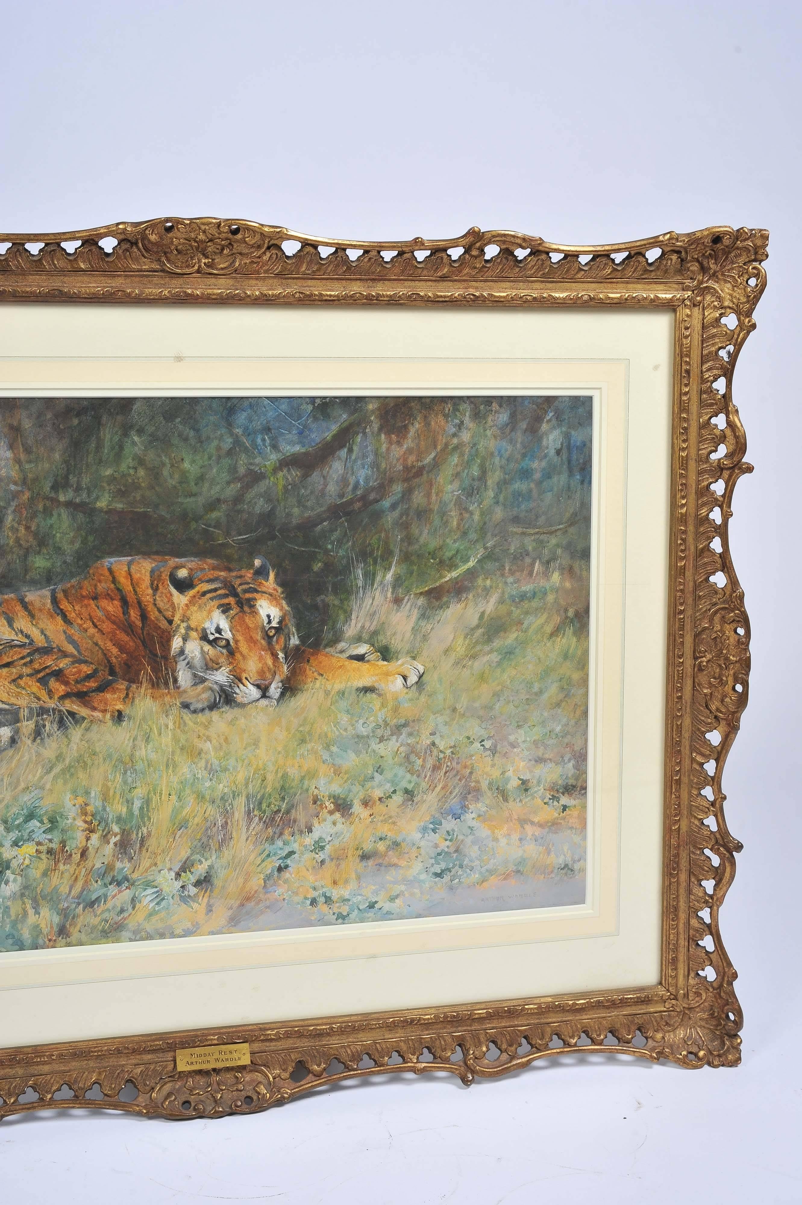 A fine quality watercolour signed Arthur Wardle, of a tiger in the bush.
Entitled; 'Midday rest' 
Mounted in a carved and gilded gesso frame.

Arthur Wardle was an English painter. Born in London, aged just 16 Wardle had a piece displayed at the
