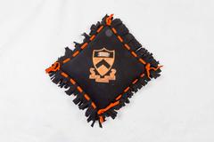 Princeton University Varsity Seat Warmer Pillow