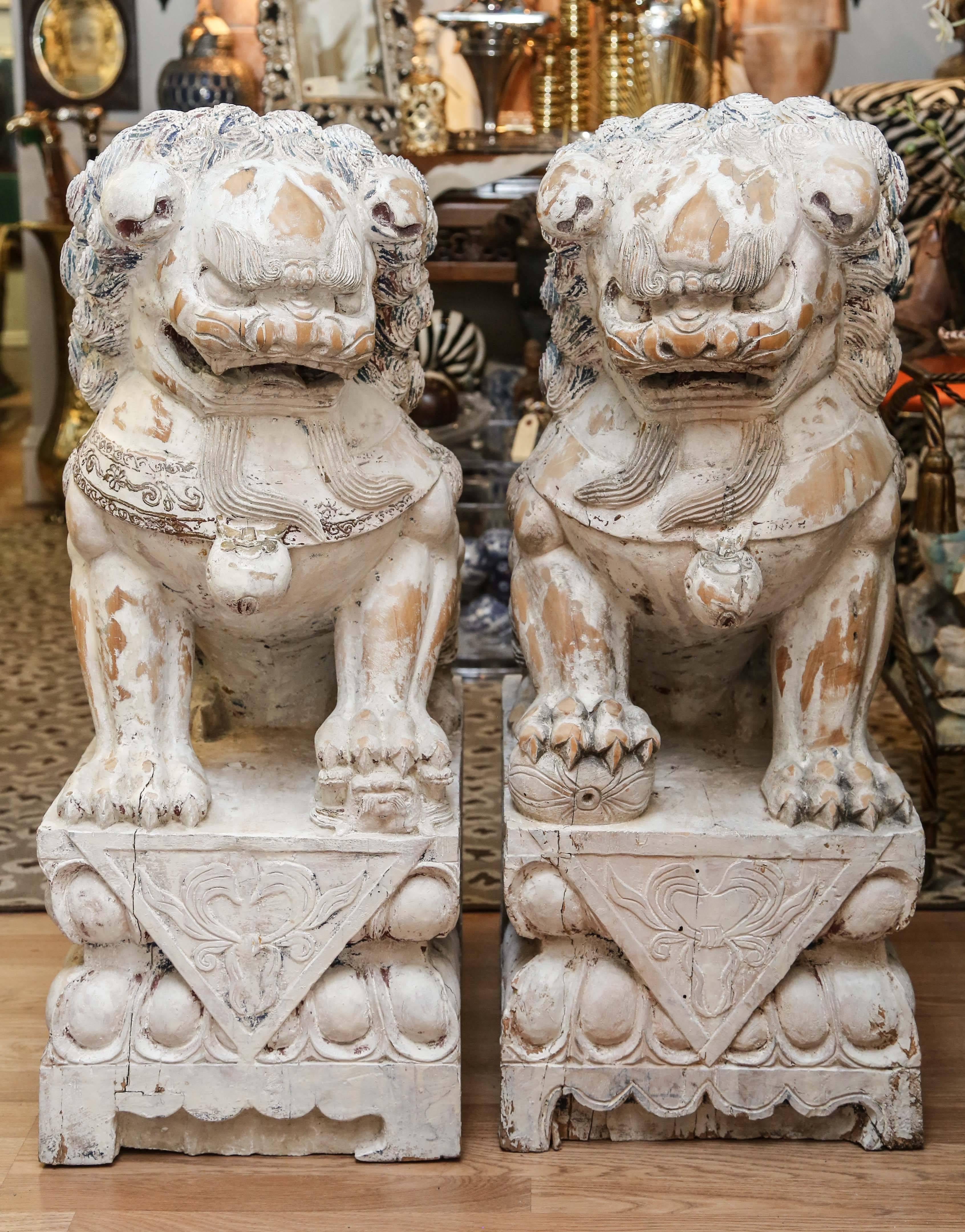 Paar geschnitzte, bemalte Foo-Hundhunde aus Holz (Chinesisch) im Angebot