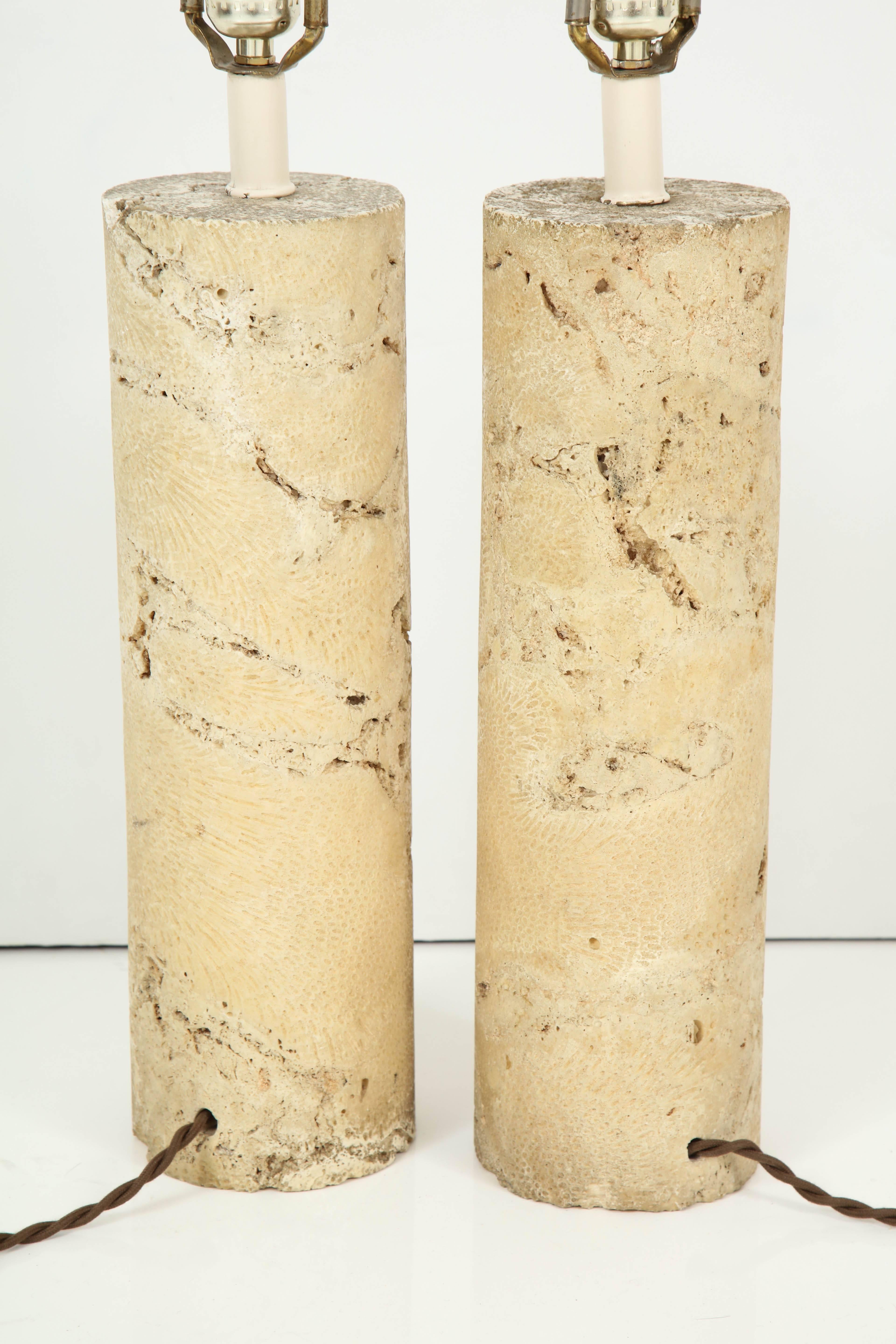 Pair of Fossil Coral Lamps 1