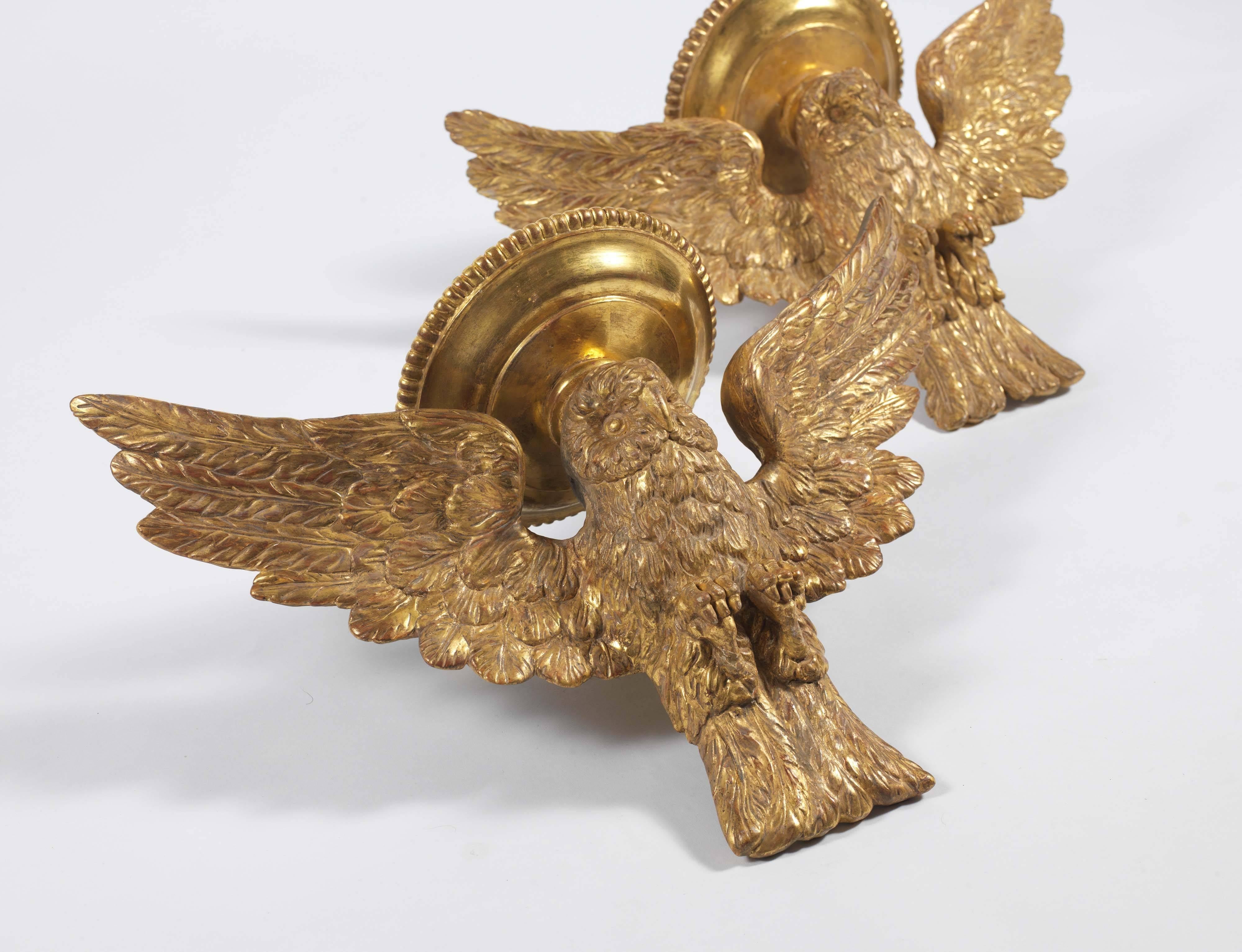 Regency Pair of Owl Wall Brackets, Early 19th Century, Hand Carved Wood, Gesso and Gilt  For Sale