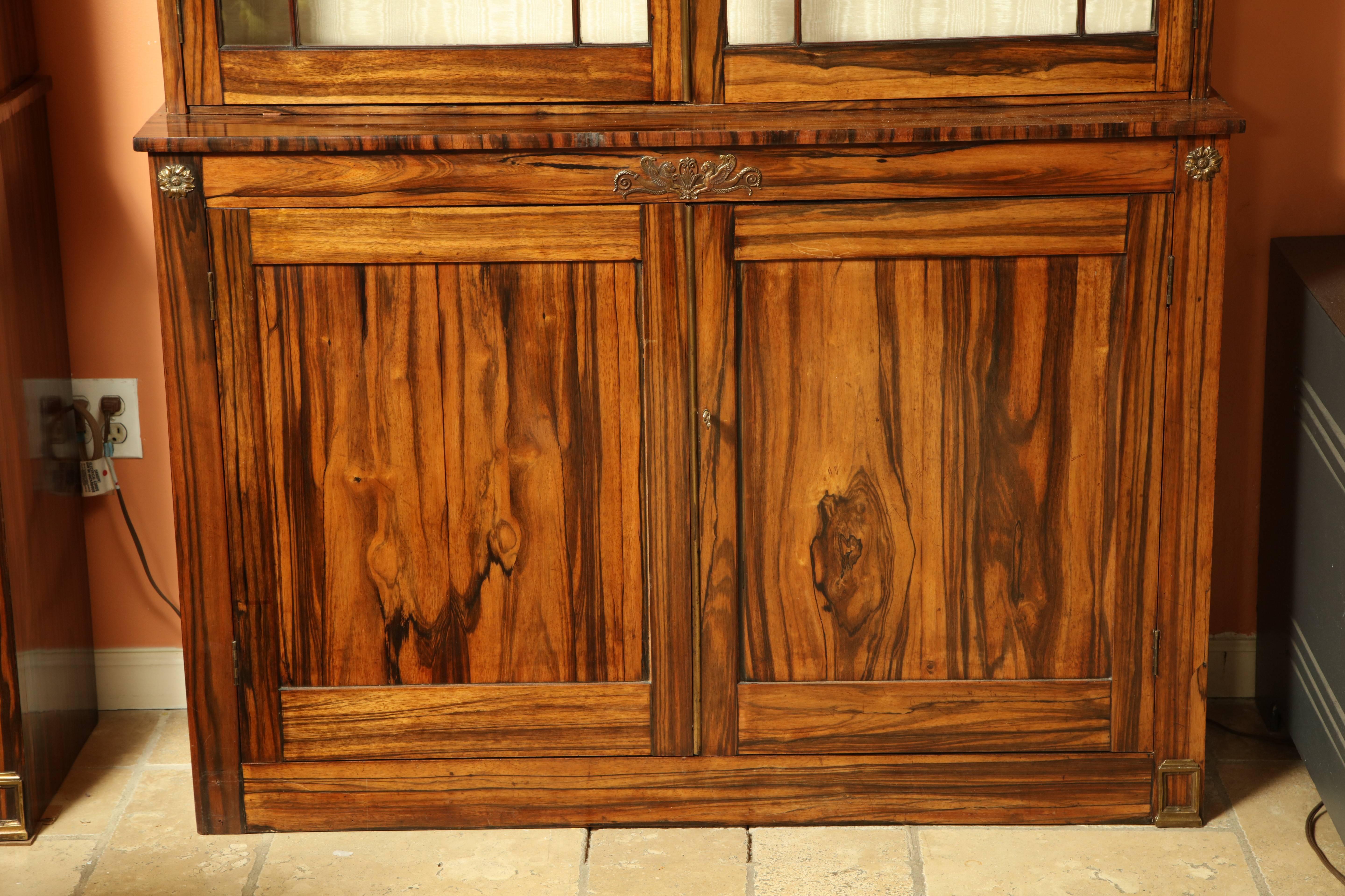 A rare pair of Regency Calamander bookcases with mullion glazed glass door top and paneled cabinet below.
 