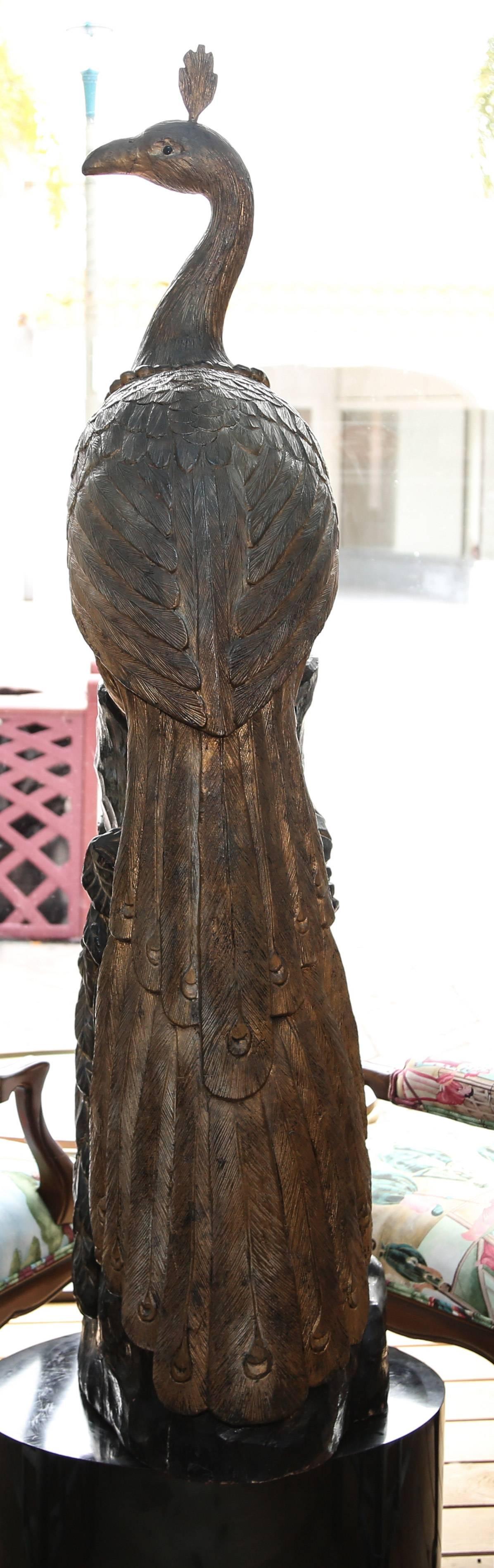 Wood Superb Life-size 19th C Anglo-Indian Carving of a Peacock