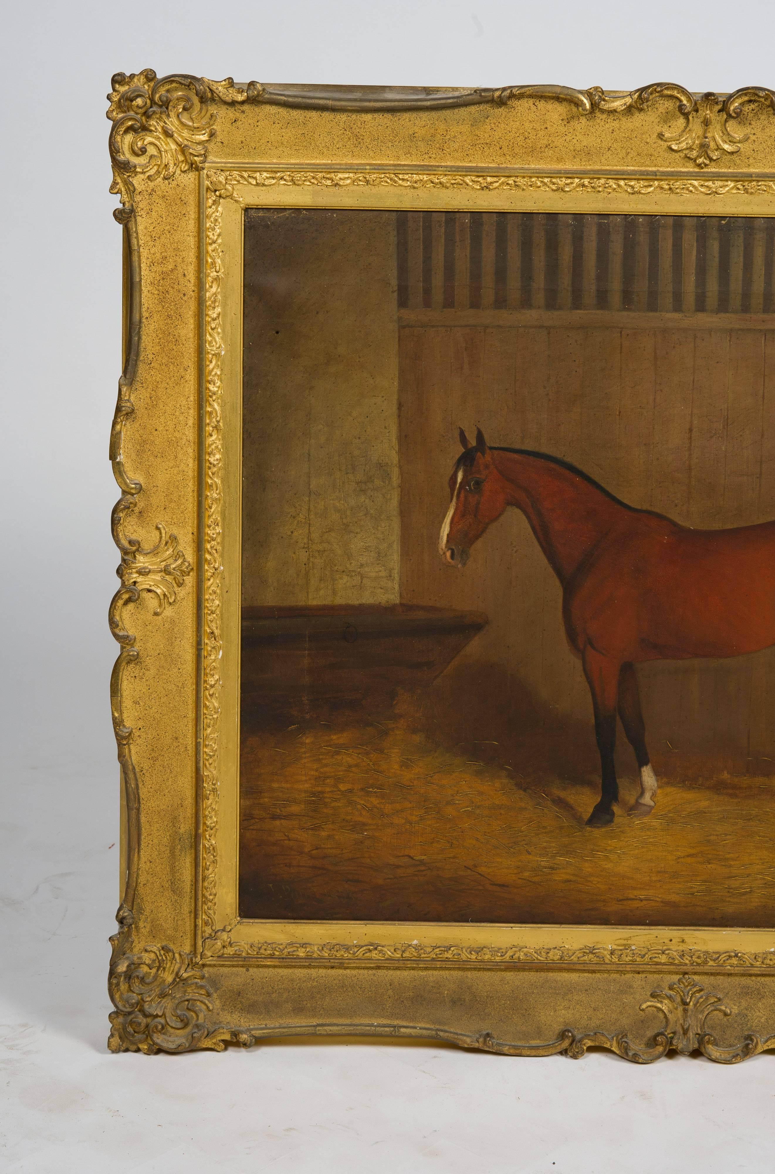 A very well painted 19th century oil on canvas study of the race horse in a stables. Mounted in its original gilded gesso picture frame.
Initials 'R.C' possibly the name of the horse.
Dated 1853.