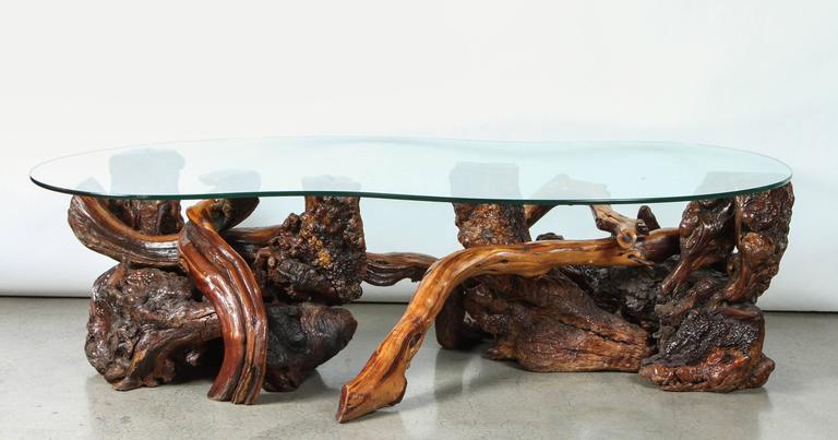 Mid-Century Redwood Burl and Vine Coffee Table with Glass Top For Sale ...