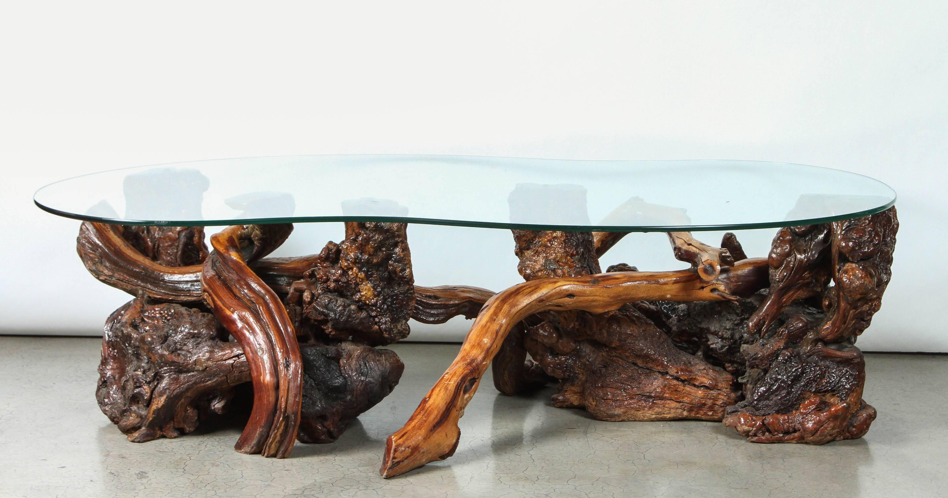 This very Californian coffee table consists of two large shellac and varnished redwood burl and vine base elements supporting an amoeba-shaped glass top.