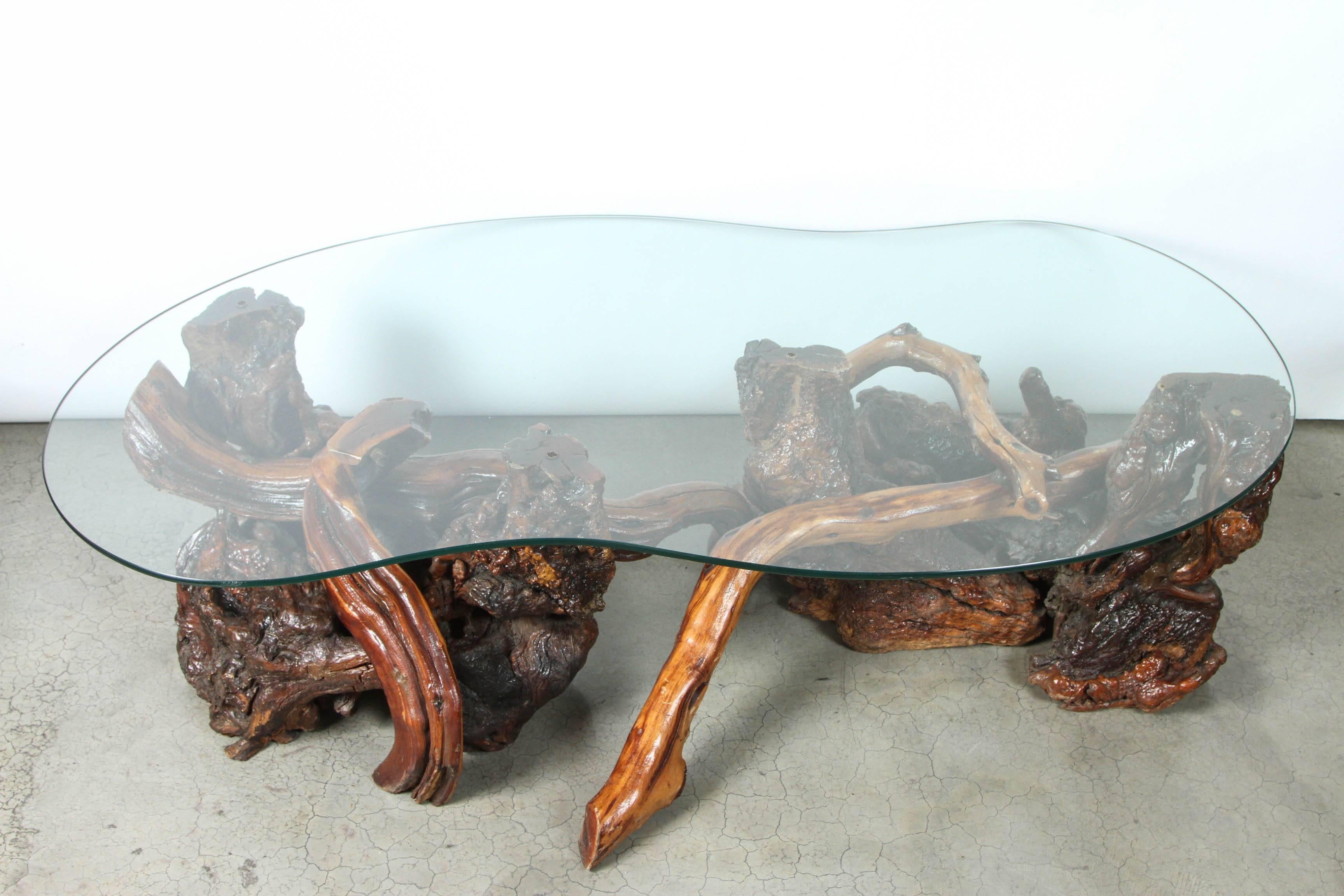 Mid-Century Redwood Burl and Vine Coffee Table with Glass Top In Excellent Condition In Pasadena, CA