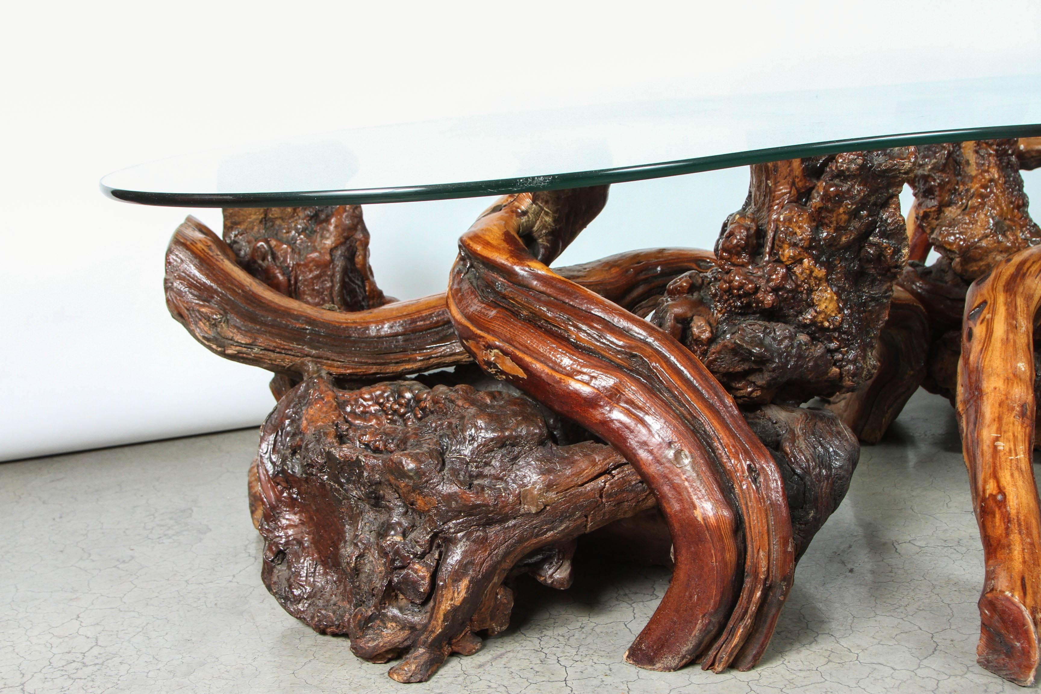 20th Century Mid-Century Redwood Burl and Vine Coffee Table with Glass Top