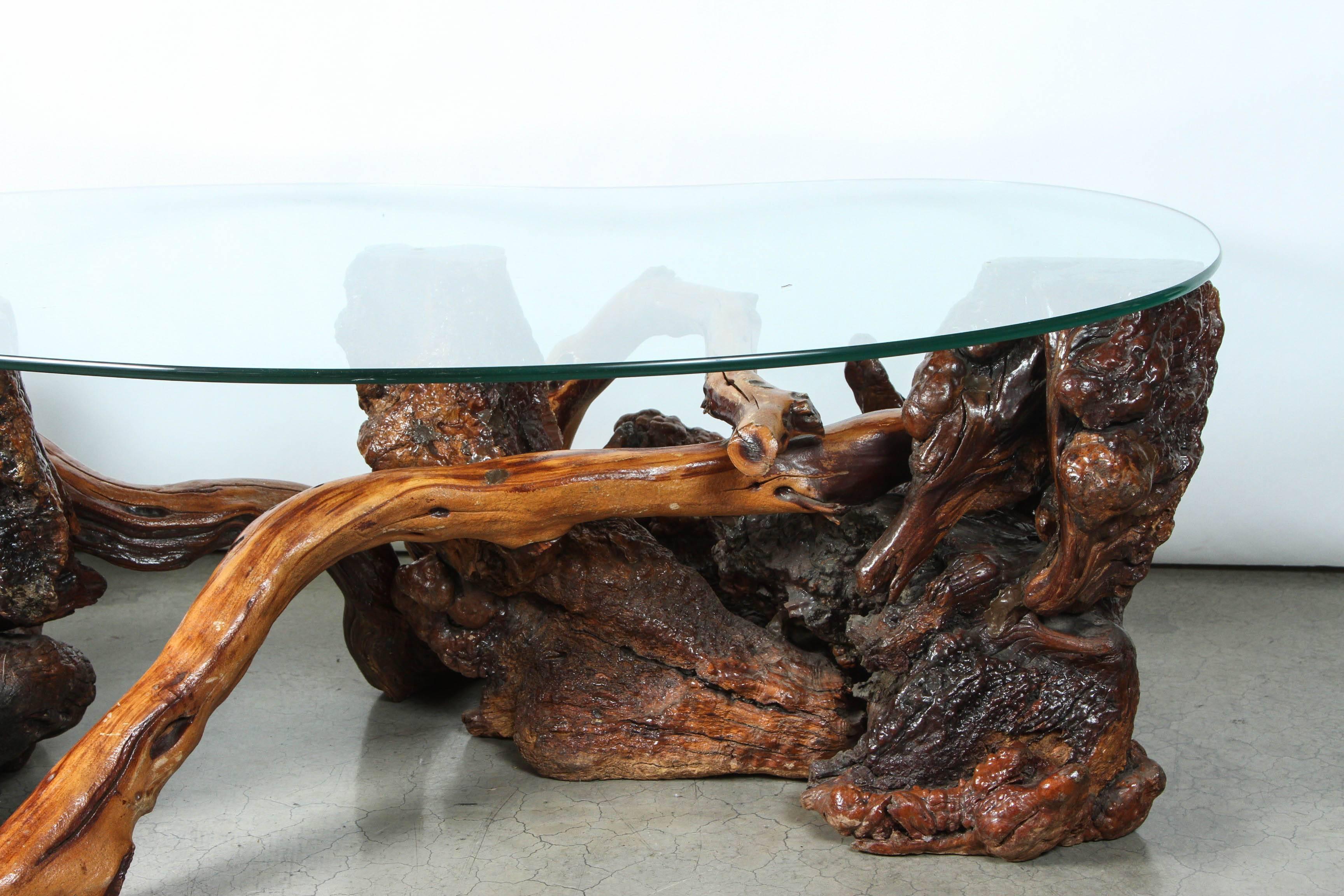 Mid-Century Redwood Burl and Vine Coffee Table with Glass Top 1