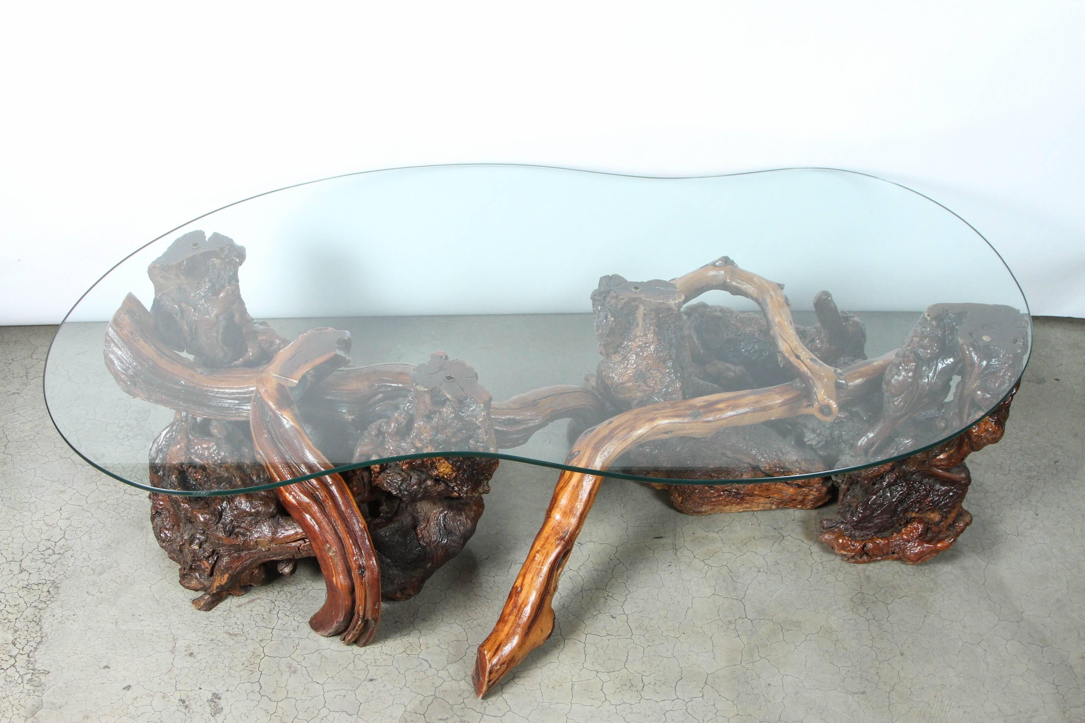 Mid-Century Redwood Burl and Vine Coffee Table with Glass Top 2