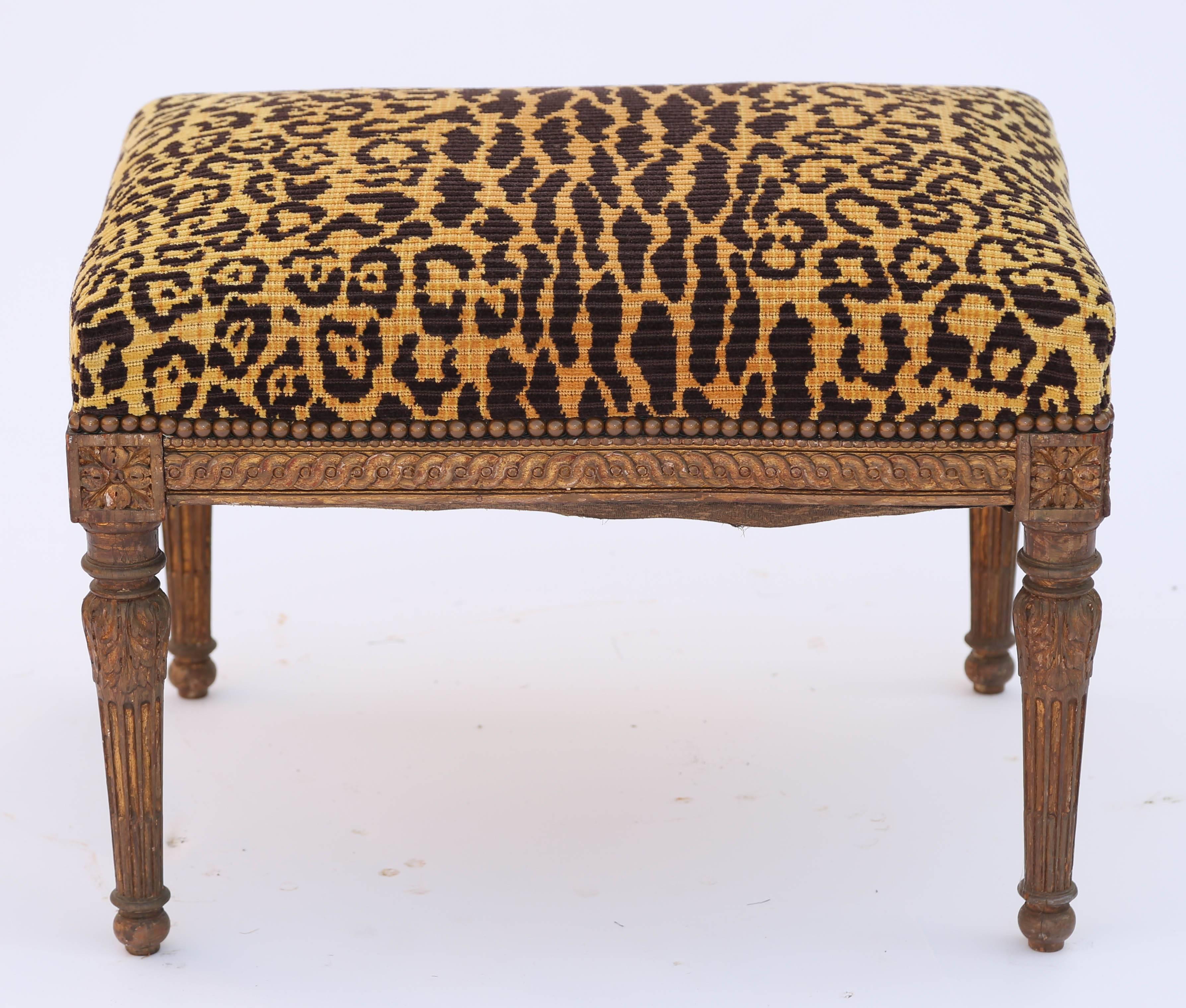 Bench, of carved giltwood, having a rectangular crown seat, of leopard fabric, with nailheads, on carved giltwood frame, its apron carved with guilloche motif, with flowerhead blocks at each corner, raised on round, tapering, fluted legs, ending in