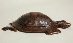 Box Turtle Box
