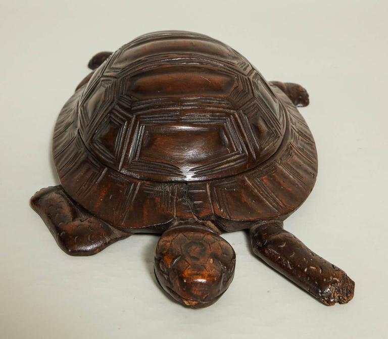 Box Turtle Box For Sale at 1stDibs