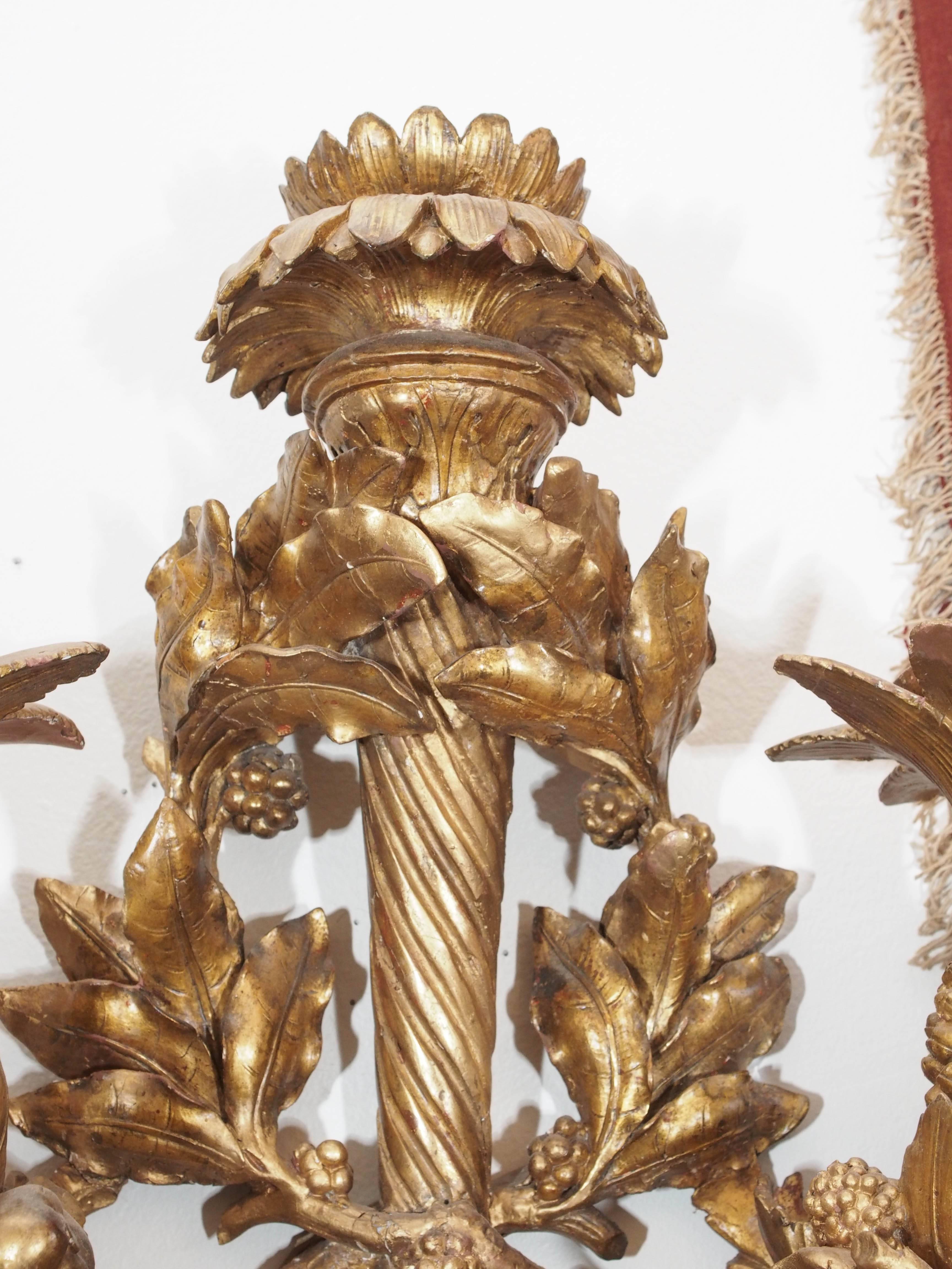 Exceptional carved giltwood wall sconces of great size and importance. These are truly a carves master work. All carved from hardwood with fruit flowers and foliate decoration.