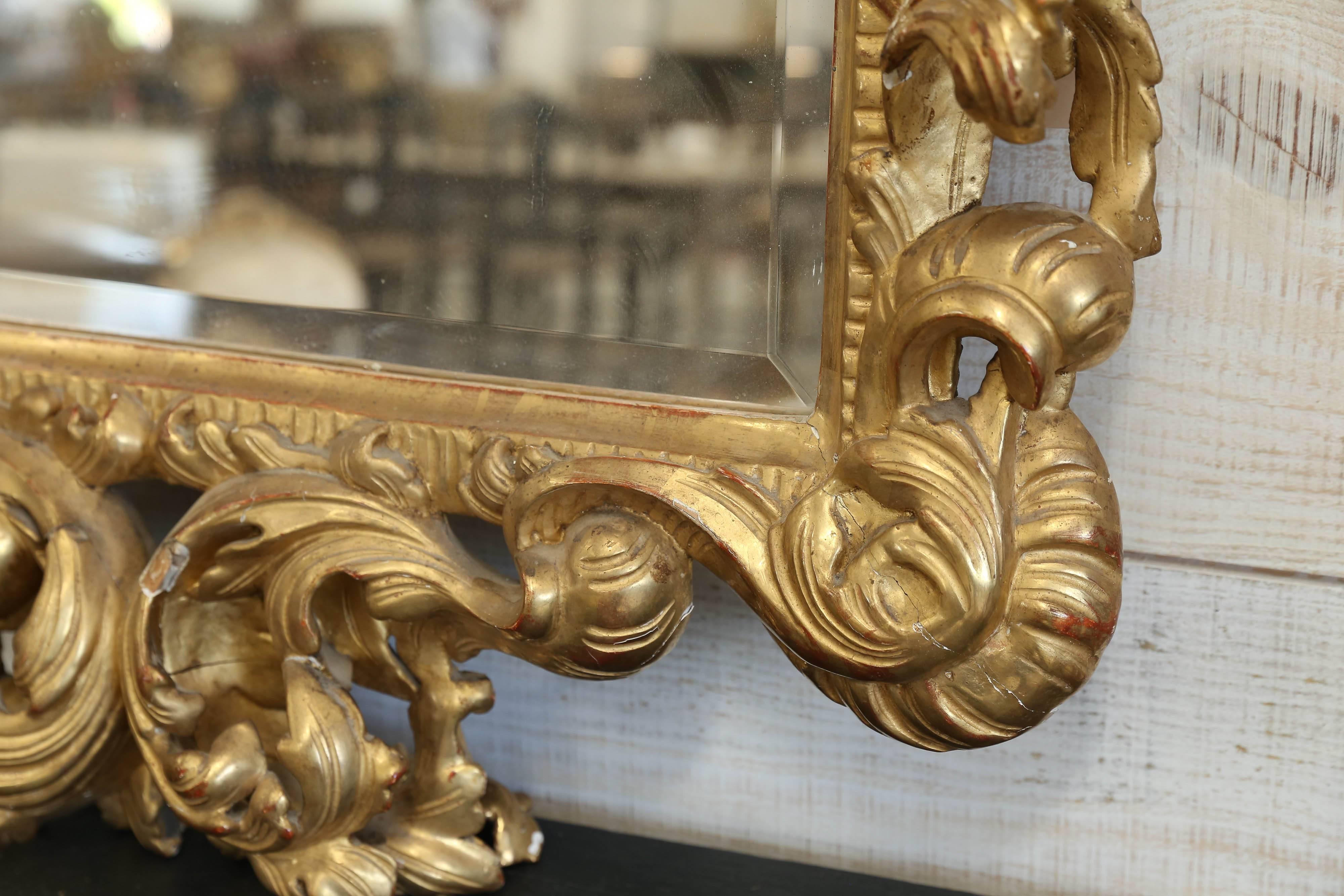 19th Century Rococo Italian Hand Carved Gilt Wooden Mirror In Good Condition In Houston, TX