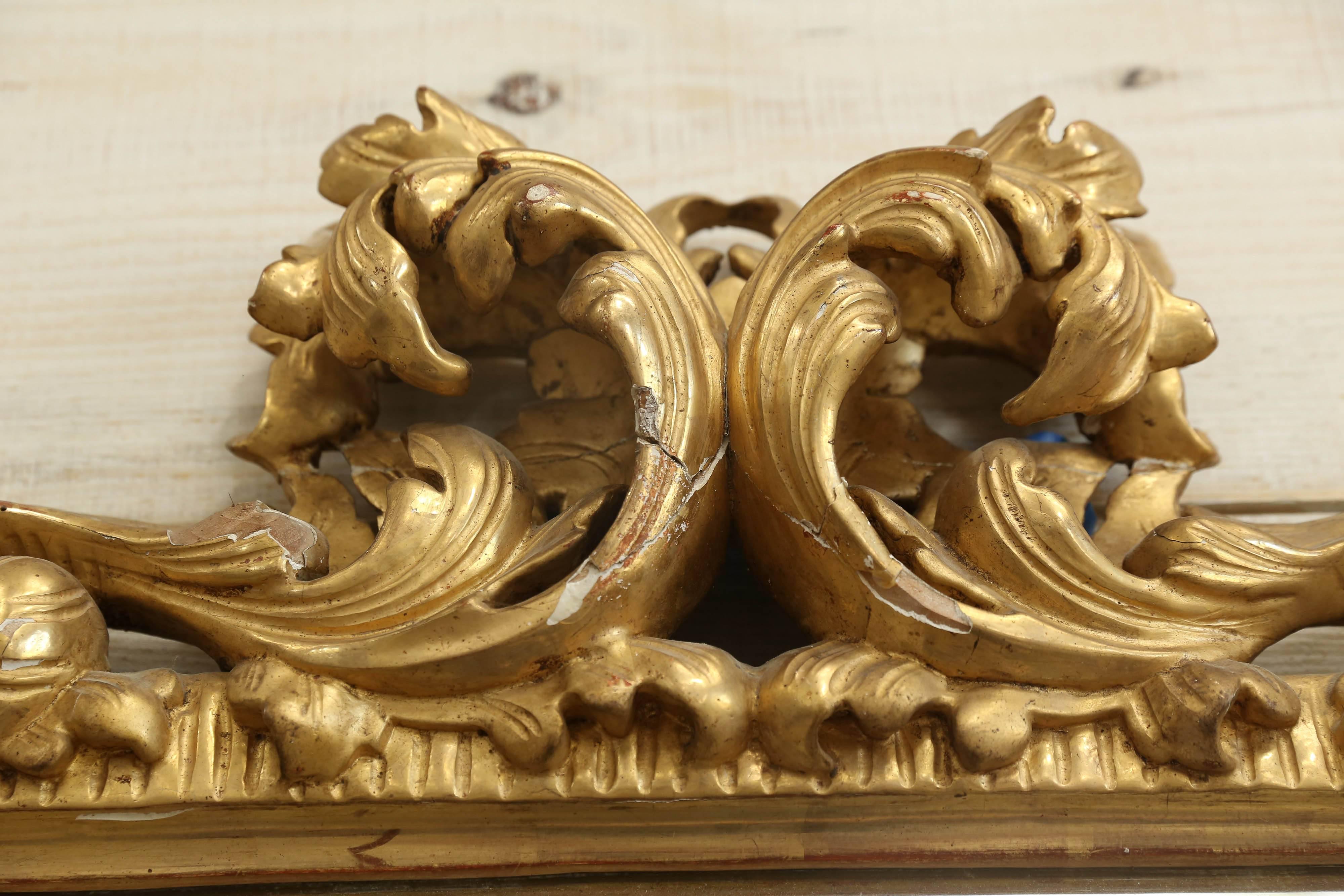 19th Century Rococo Italian Hand Carved Gilt Wooden Mirror 3