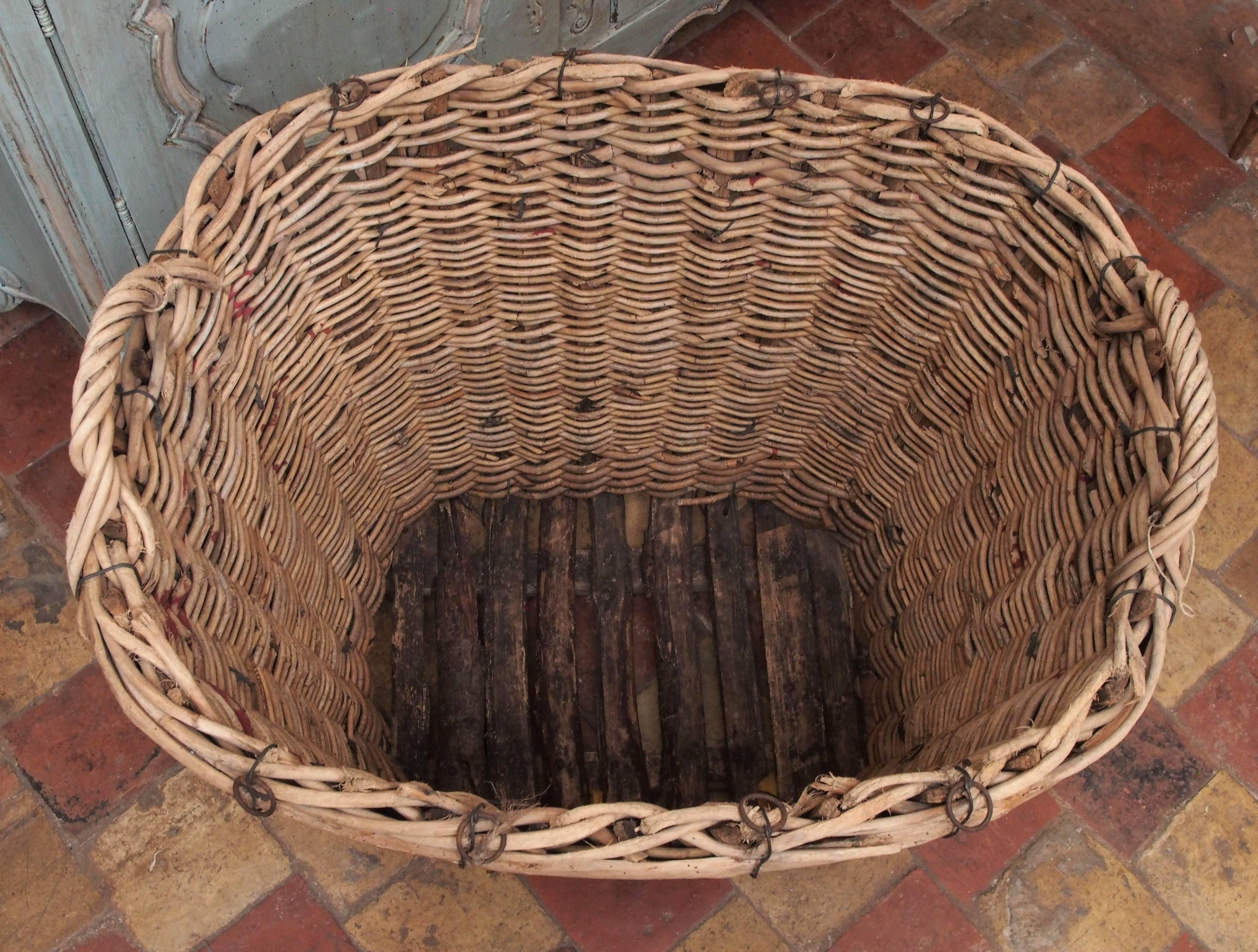 Early French handwoven reed basket used for gathering grapes for champagne, circa 1900.