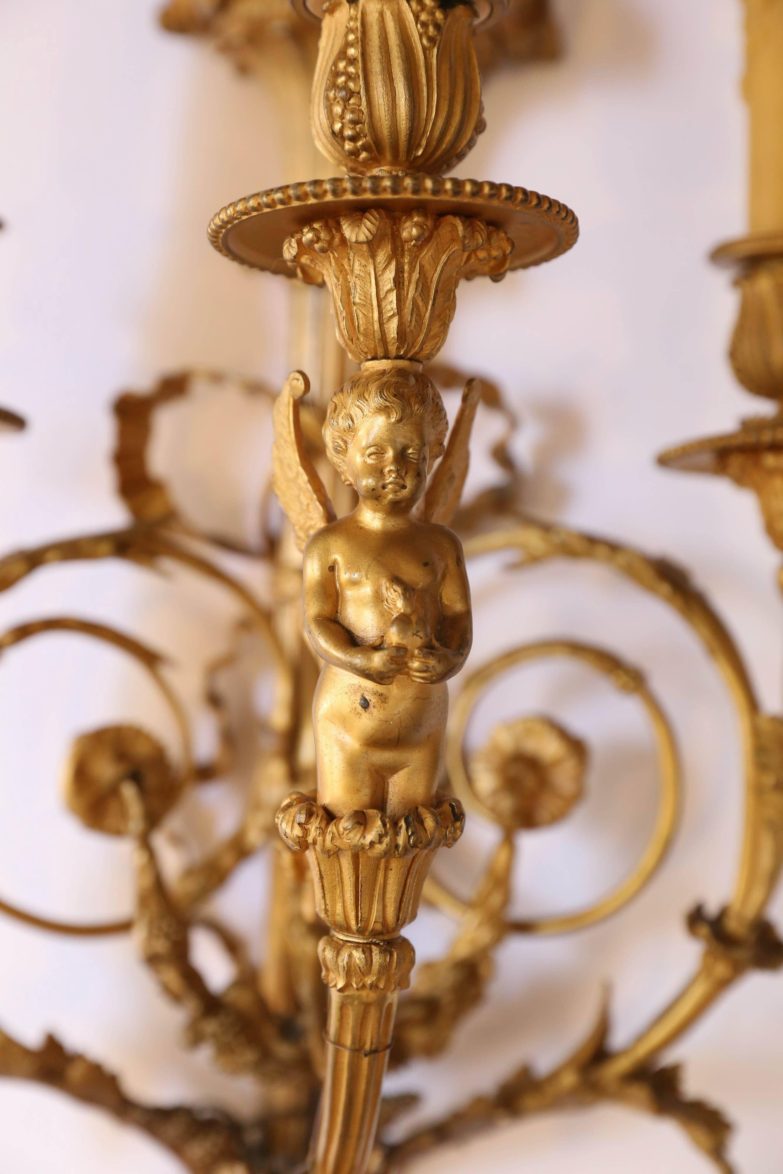 Beautiful pair of gilt bronze sconces with scrolling arms that support
The candleholders that have been wired. Lovely floral and foliate
Design supporting a winged angel at the central post. A bird is sitting at the
Top pediment.