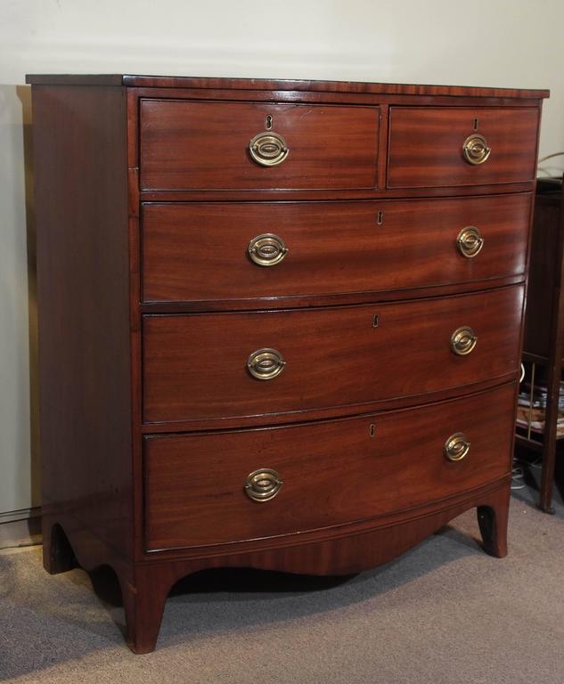Antique English Regency Mahogany Bow Front Chest At 1stdibs