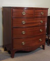 Antique English Regency Mahogany Bow Front Chest