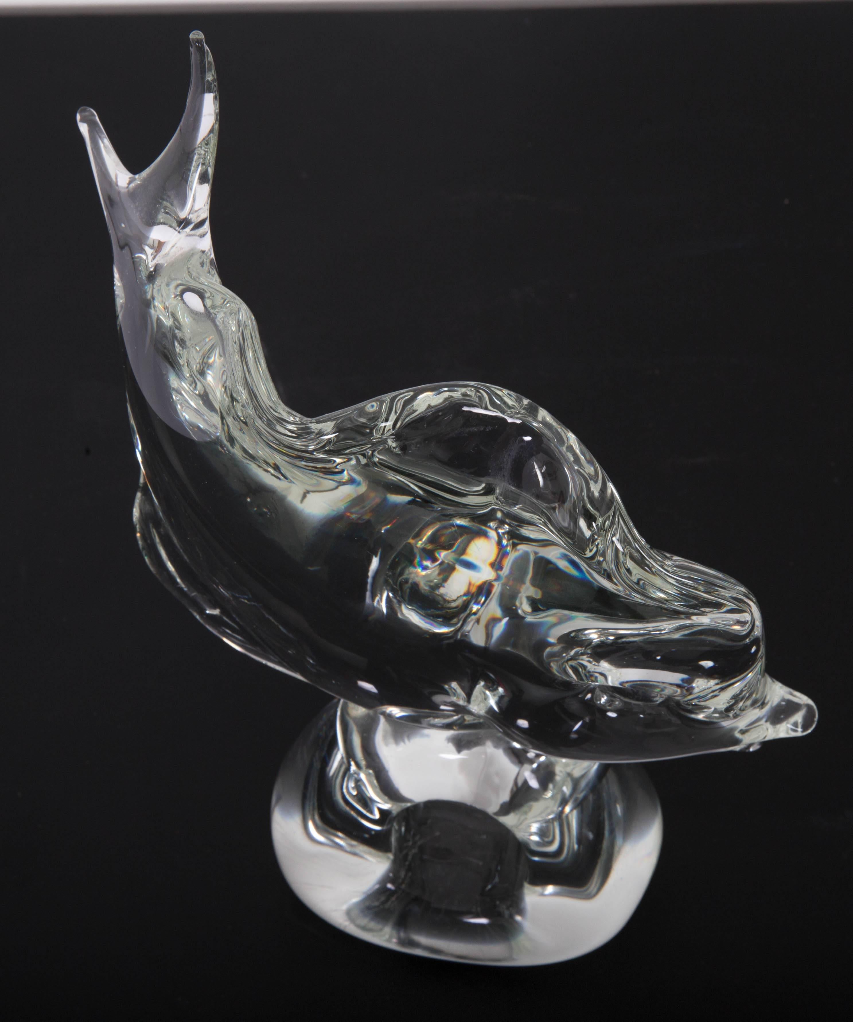 murano shark