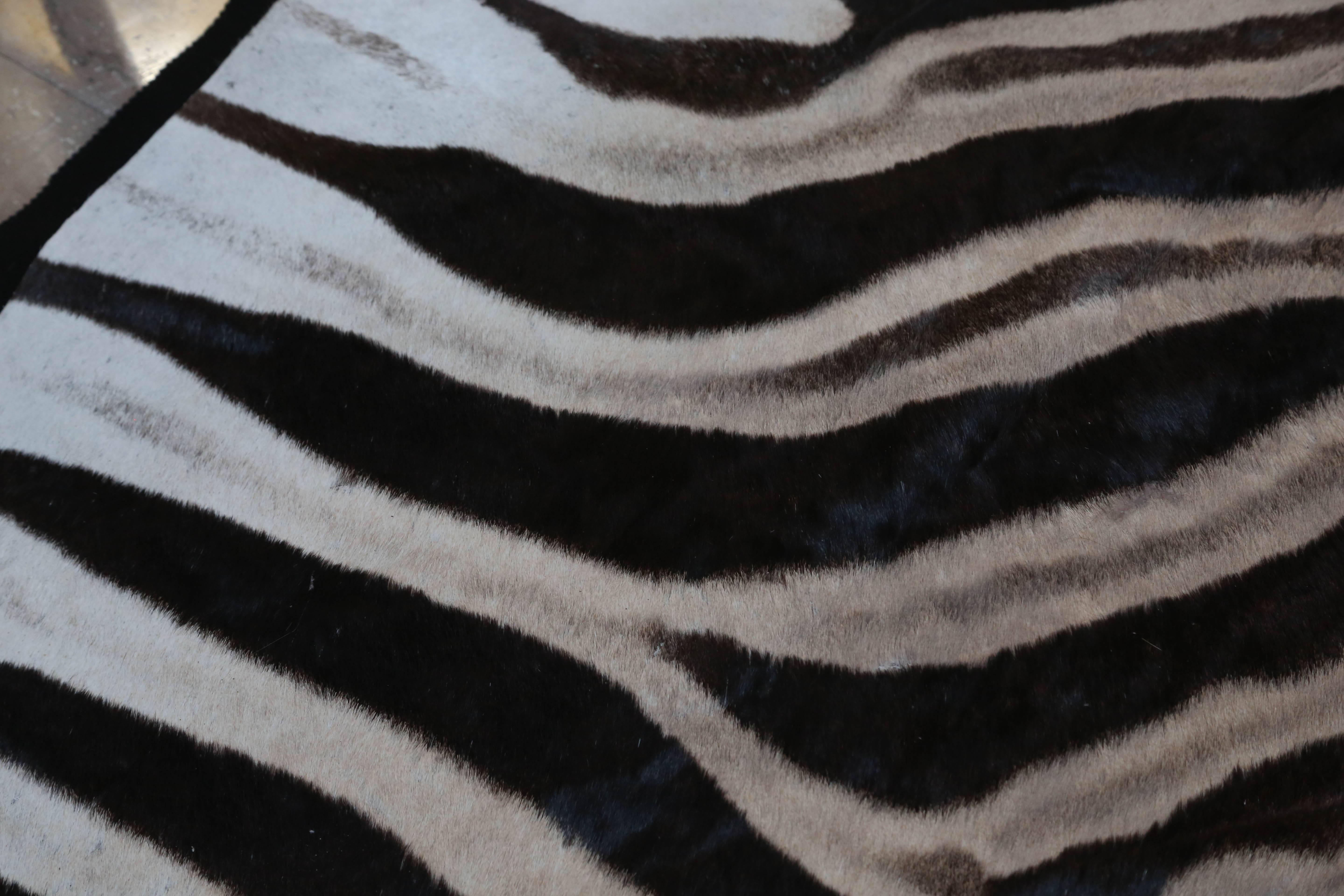 Zimbabwean Exceptional Burchell Zebra Hide Rug