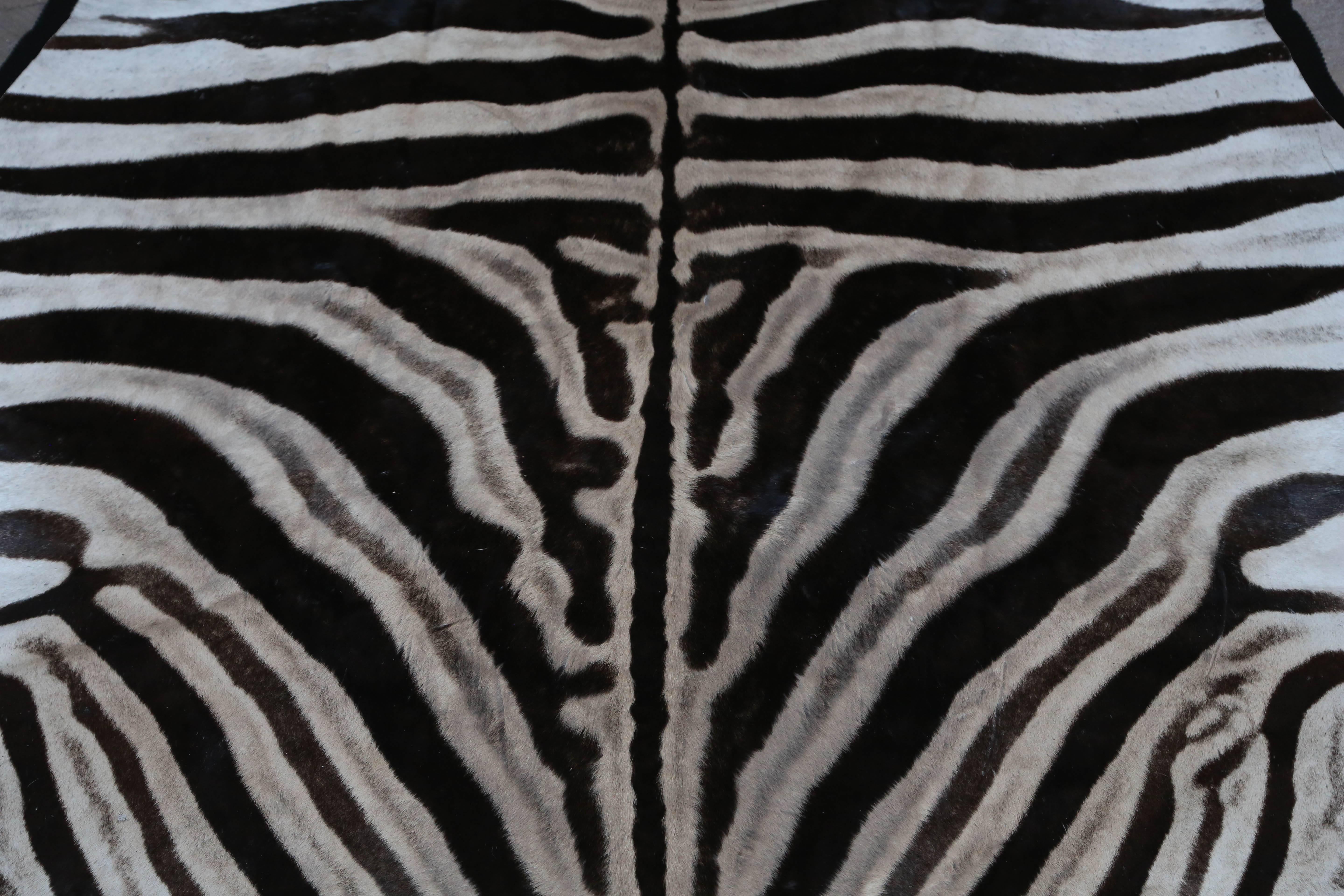 Late 20th Century Exceptional Burchell Zebra Hide Rug
