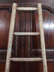 English Orchard Ladder