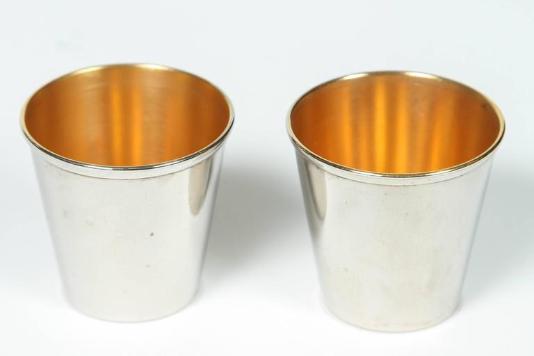 Vintage Travel Cocktail Shaker with Cups at 1stDibs